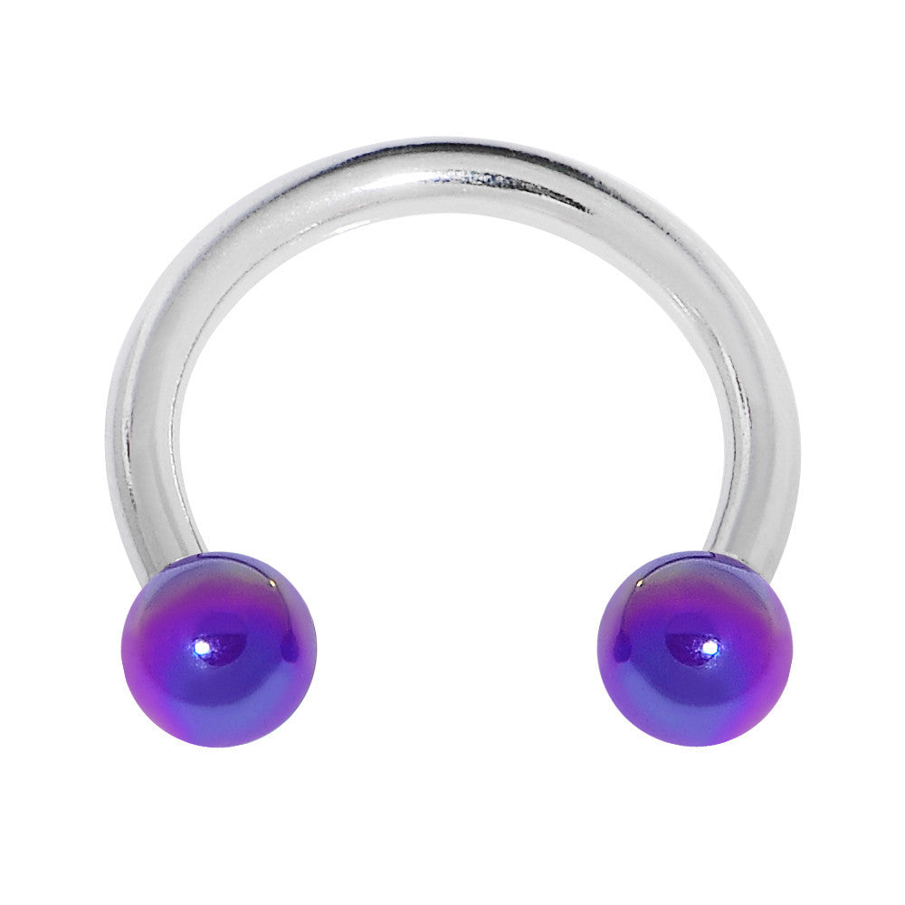 16 Gauge 5/16 Metallic Purple Horseshoe Circular Barbell