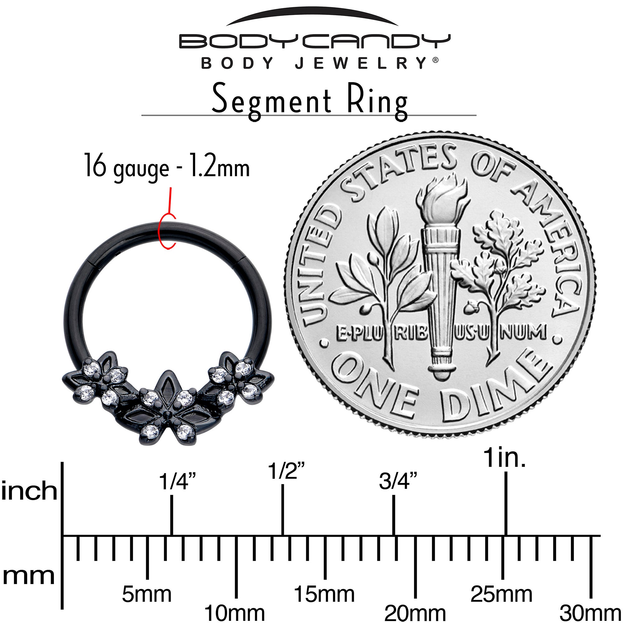 16 Gauge Hinged Segment Ring with Black Gothic Star Design and Clear CZ