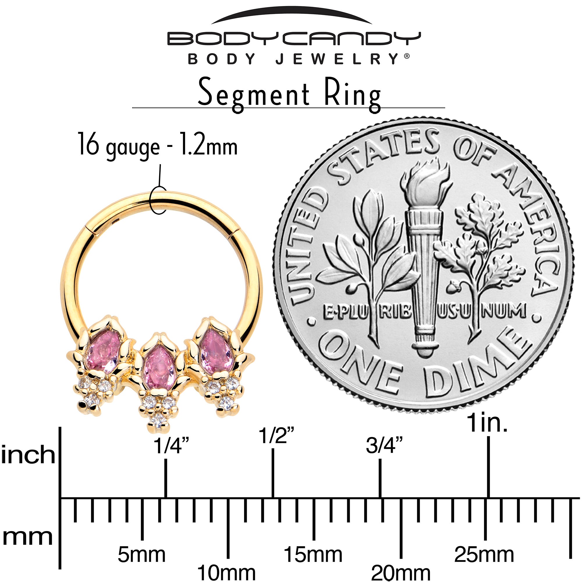 16 Gauge Hinged Segment Ring in Gold Tone with Pink Gemstone