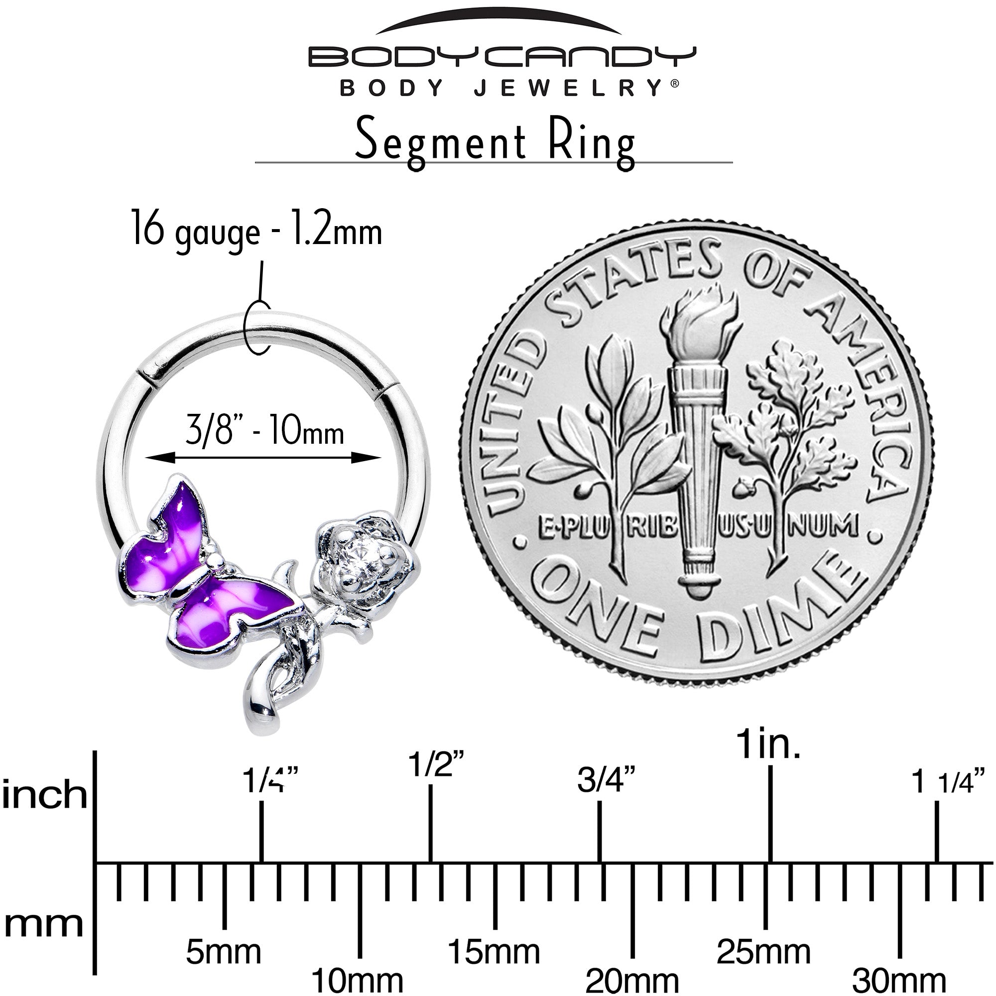 16 Gauge 3/8 Clear CZ Gem Butterfly Rose Purple Hinged Segment Ring