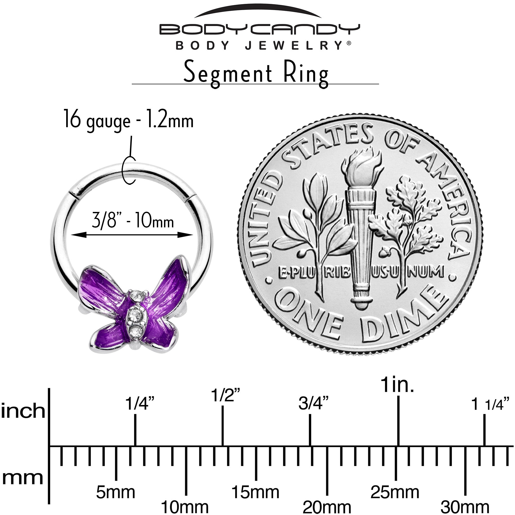 16 Gauge 3/8 Clear Gem Chunky Butterfly Purple Hinged Segment Ring