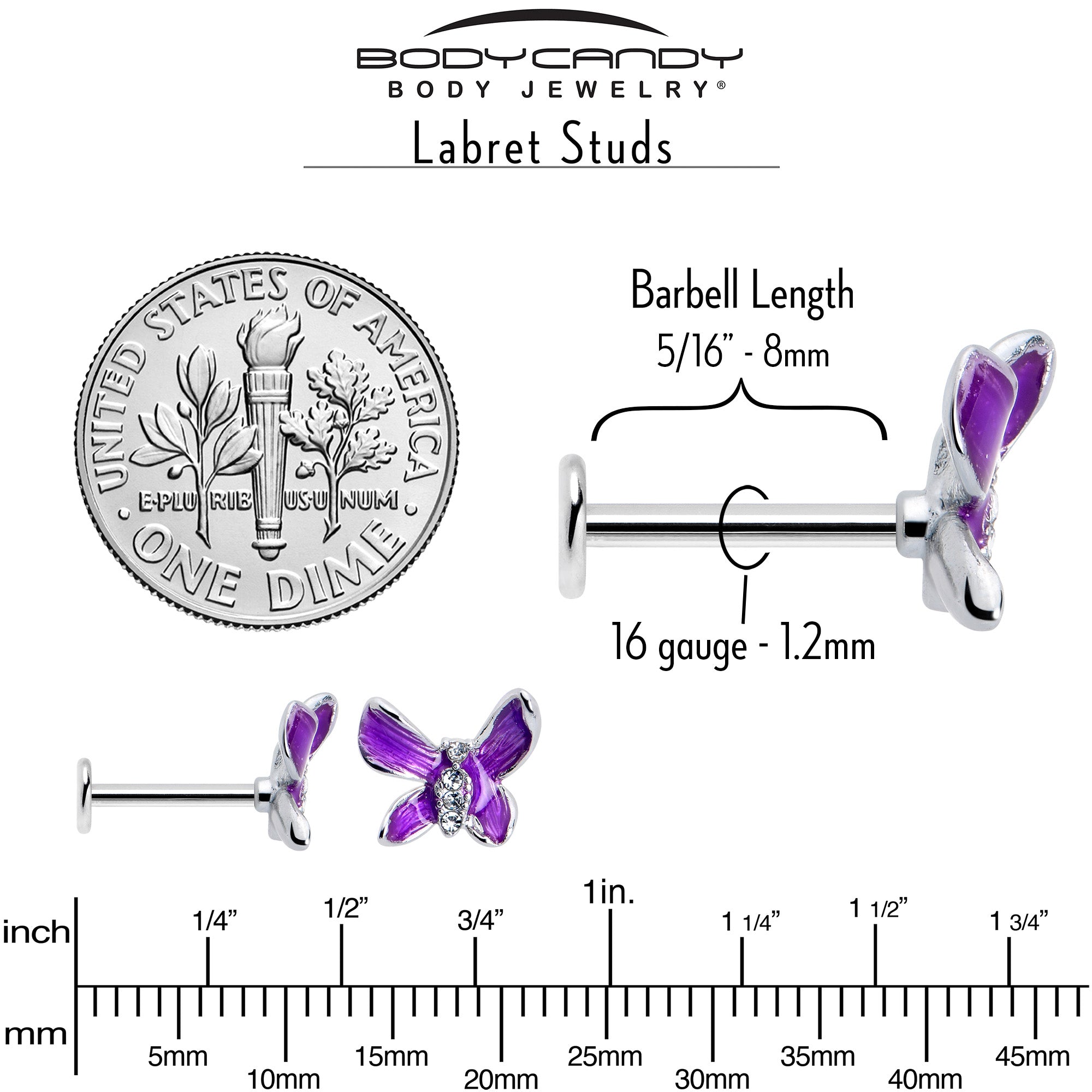 16 Gauge 5/16 Clear Gem Chunky Butterfly Purple Labret Monroe Tragus