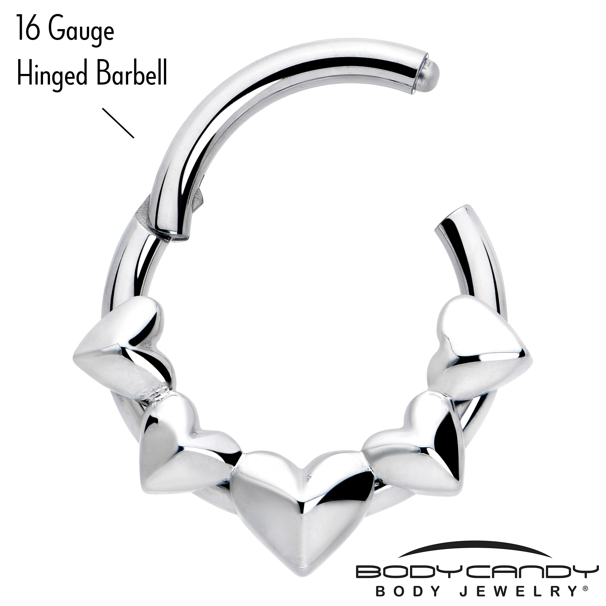 16 Gauge 5/16 3D Hearts Hinged Segment Ring