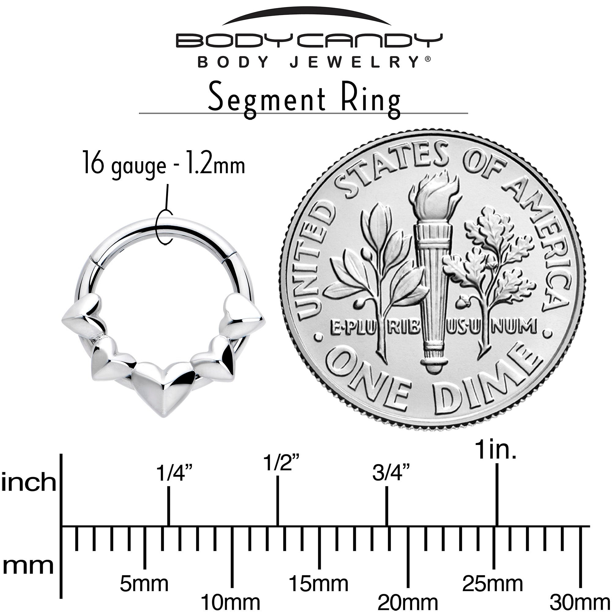 16 Gauge 5/16 3D Hearts Hinged Segment Ring