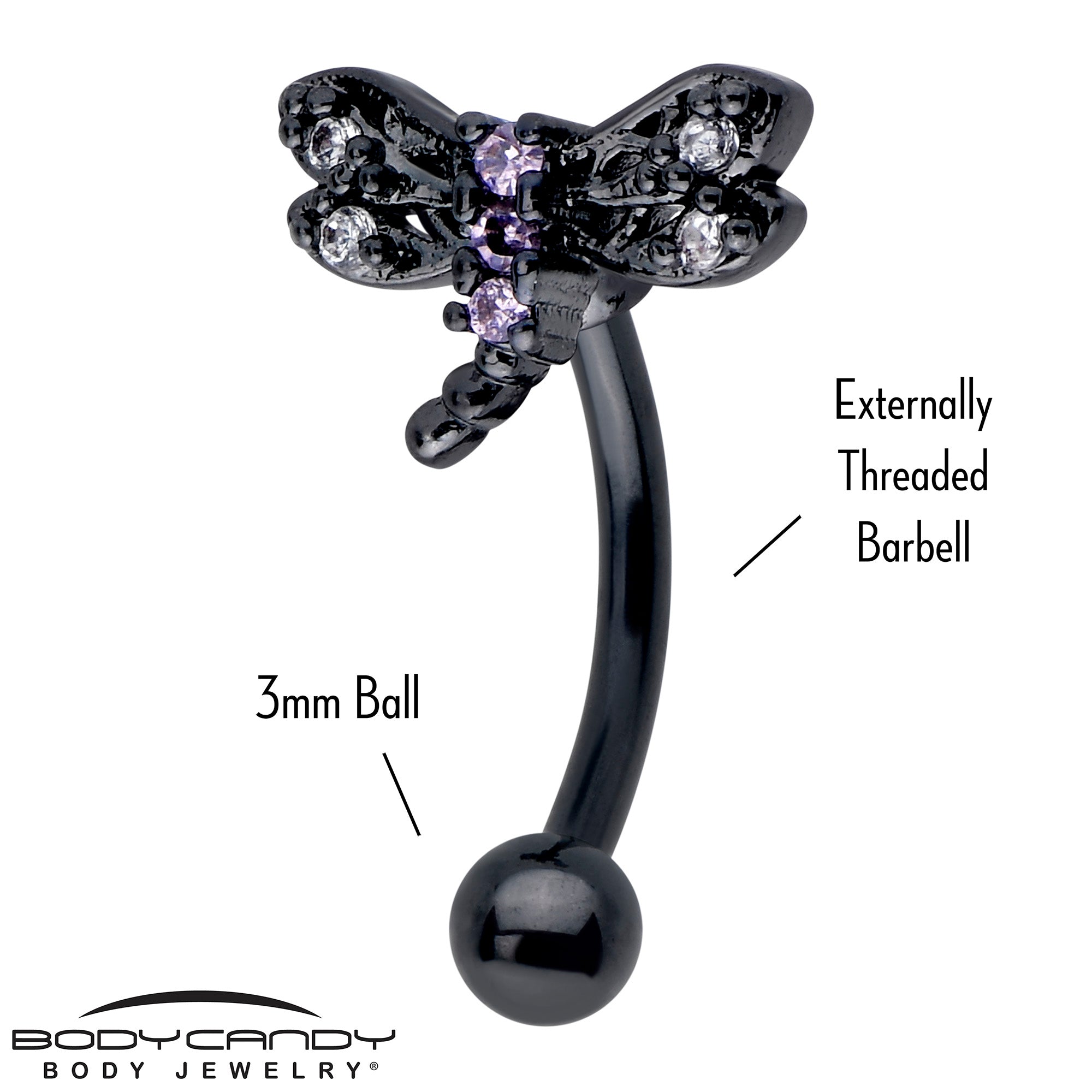 Curved eyebrow ring featuring a black night dragonfly and purple crystal