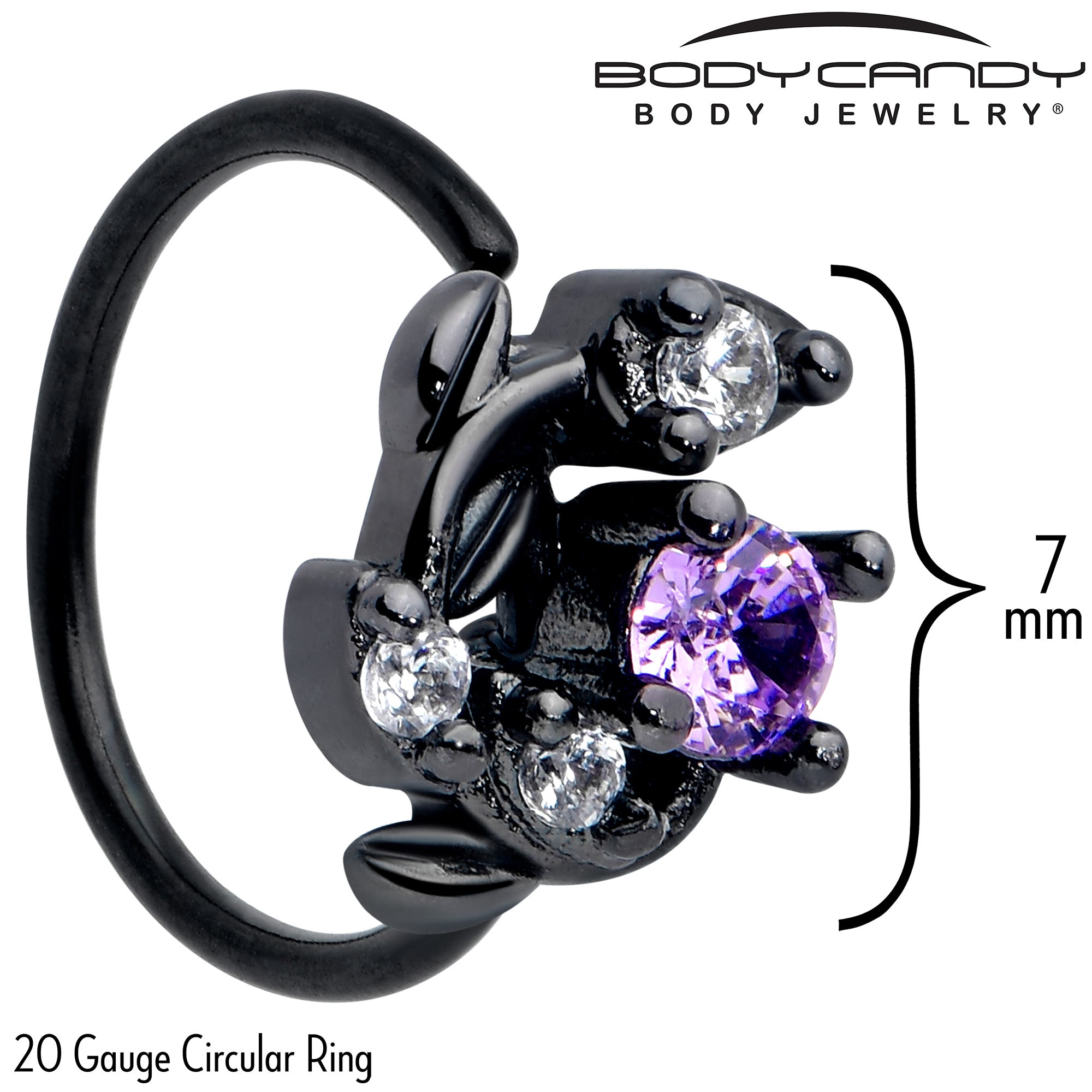 20 Gauge 5/16 Purple Gem Nose Hoop with Black Twining Vine