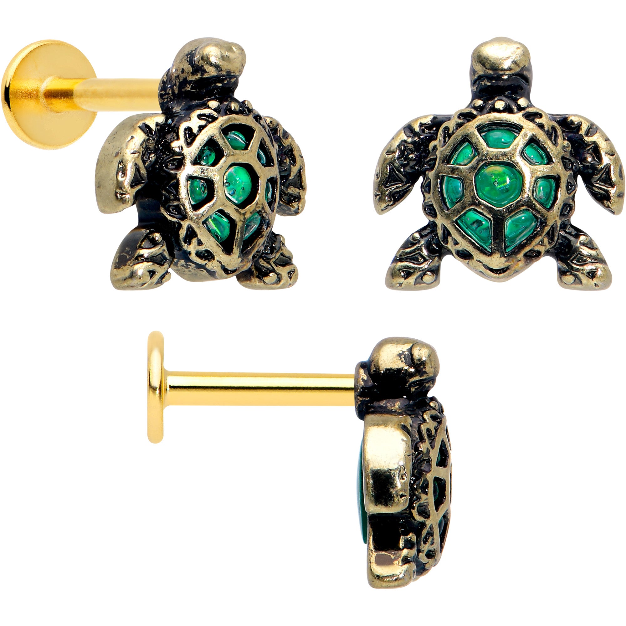 Gold Tone Sea Turtle Style Labret Tragus Set of 3 16 Gauge 5/16