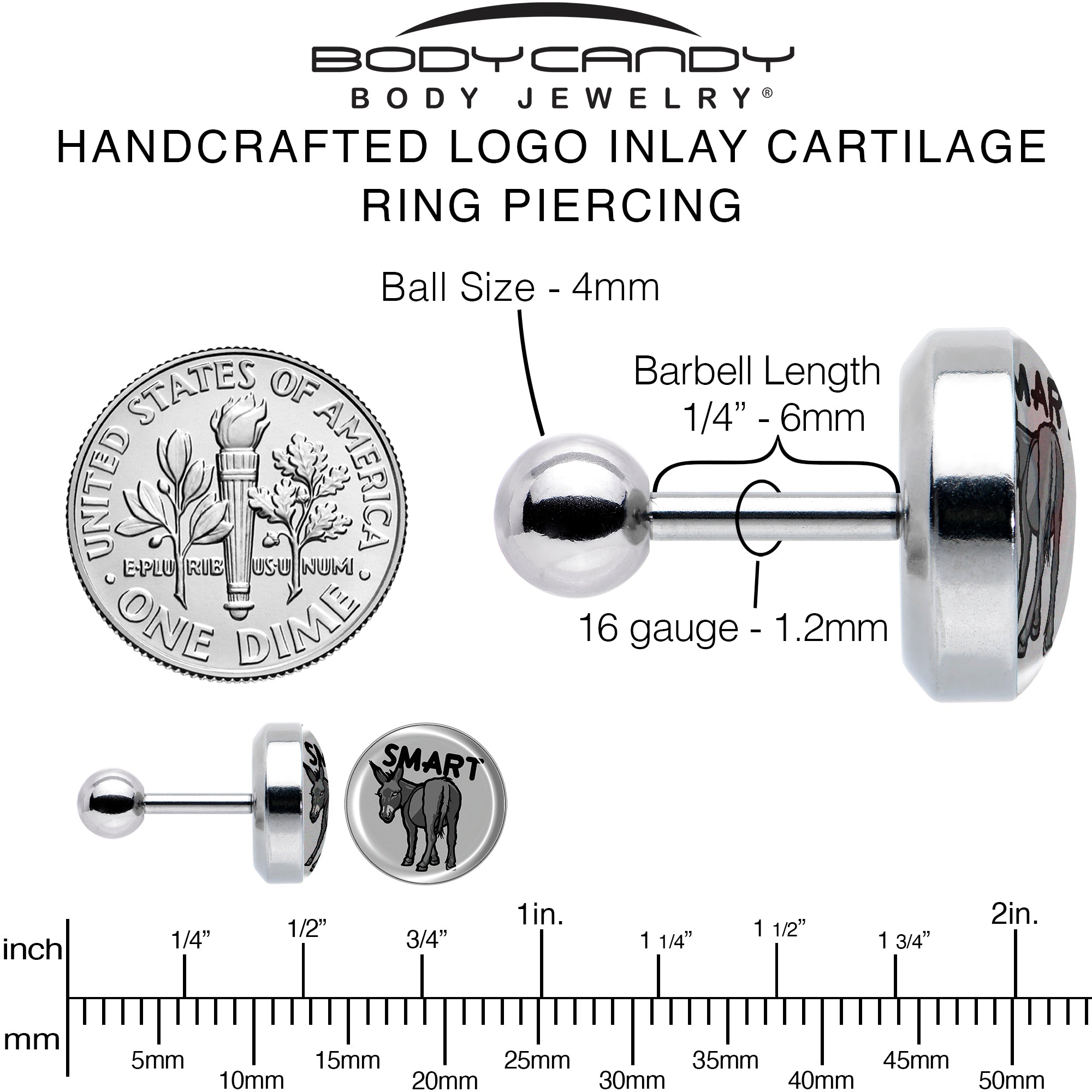 16 Gauge 1/4 Donkey Smart Ass Tragus Cartilage Earring