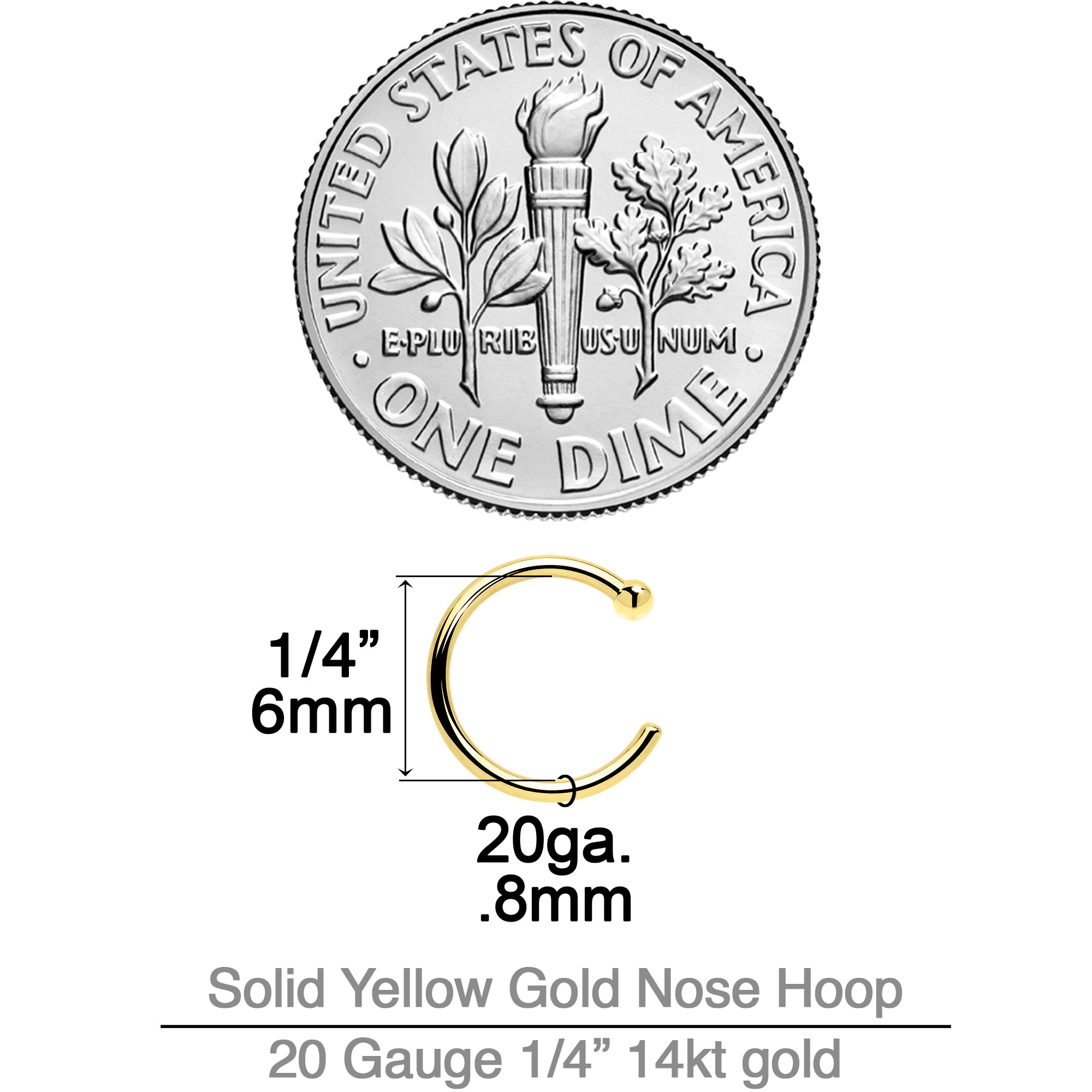 20 Gauge 1/4 14kt Solid Yellow Gold Nose Hoop