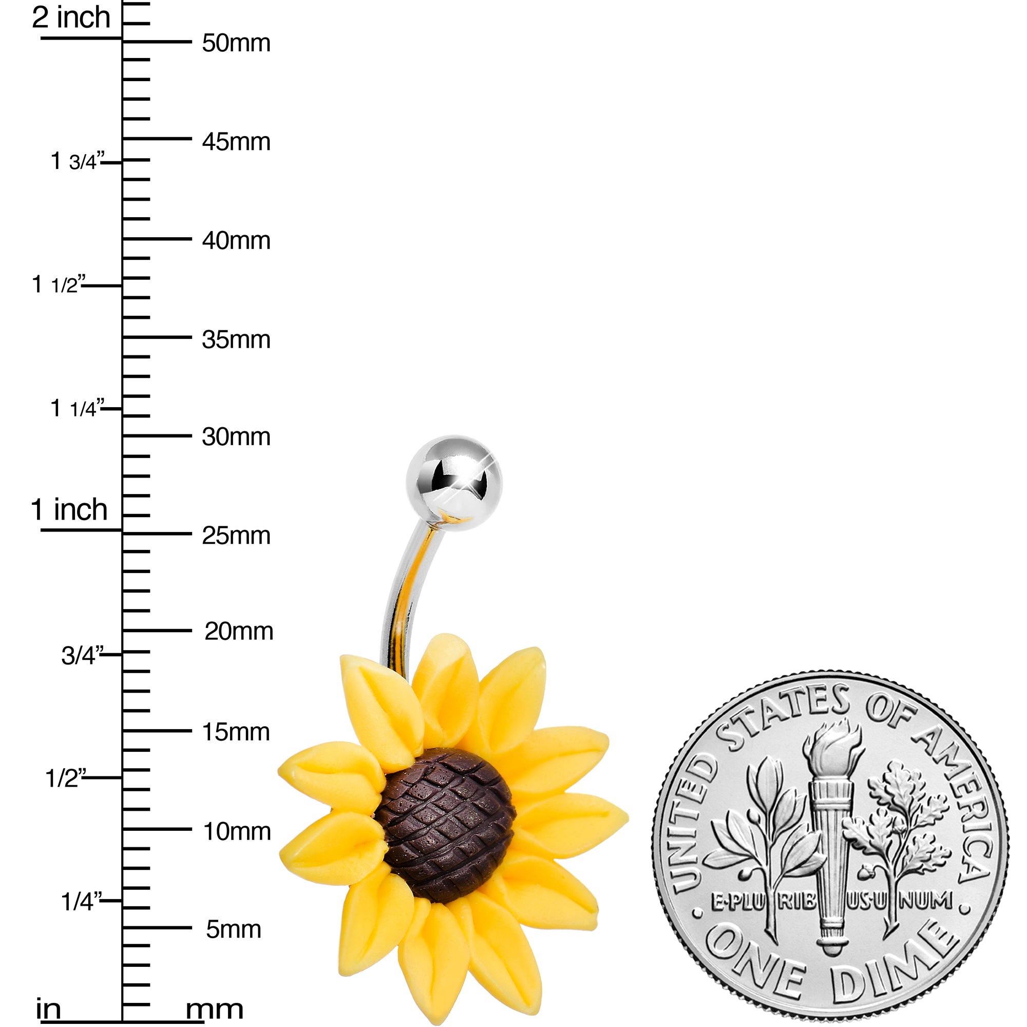 Sunflower deals belly bar