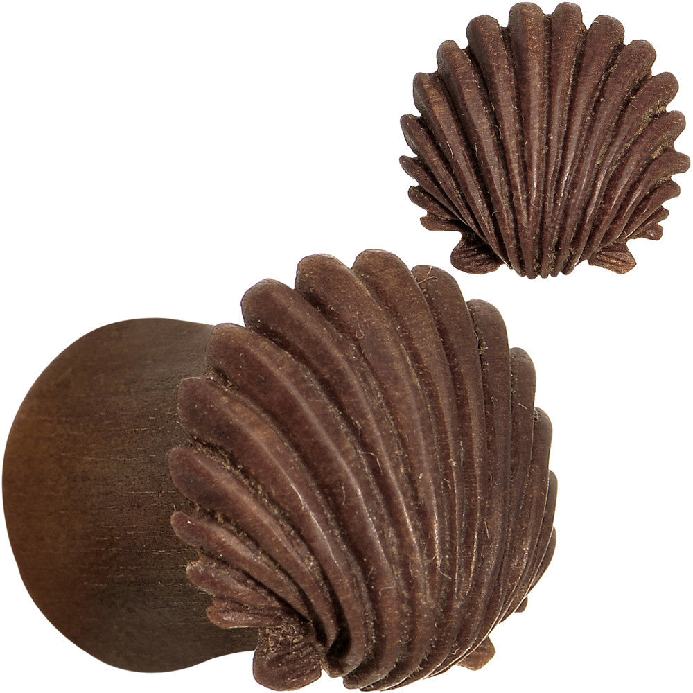 00 Gauge Organic Sabo Wood Ariel's Shell Hand Carved Plug Set