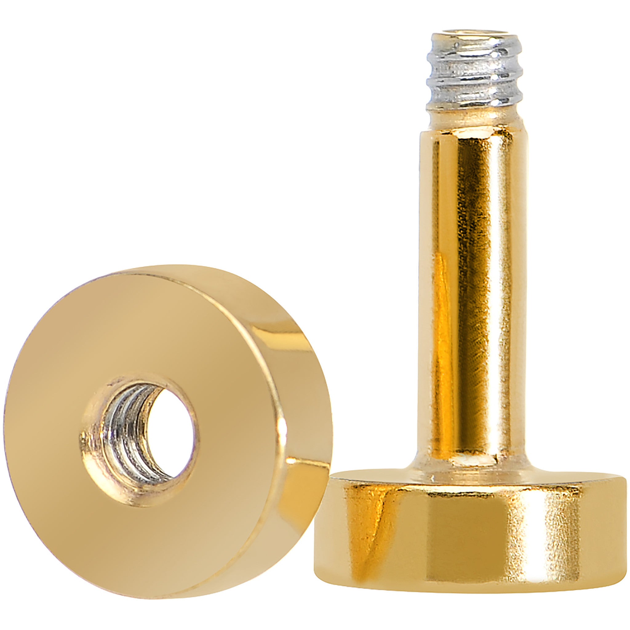 10 Gauge PVD Gold Titanium Screw Fit Tunnel