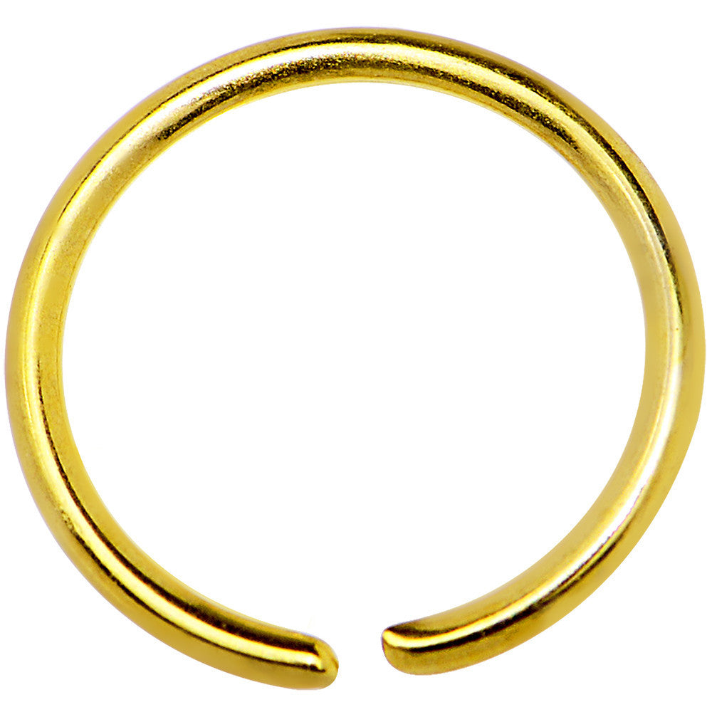 20 Gauge 5/16 Gold IP Annealed Steel Seamless Circular Ring