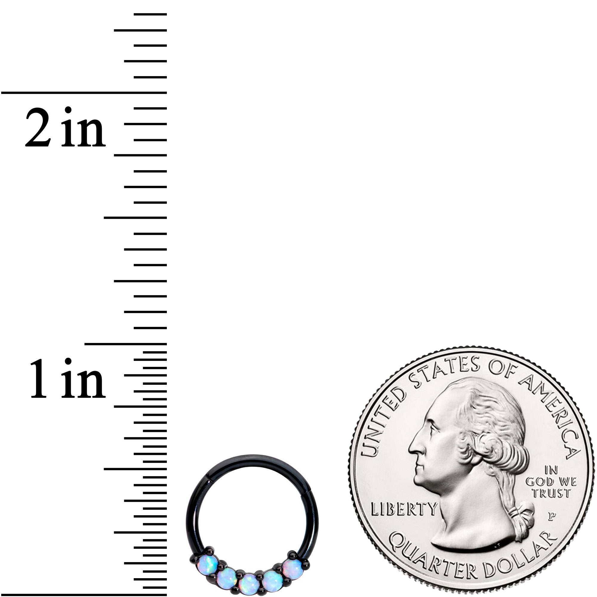 16 Gauge 3/8 Synthetic Opal Black Hinged Segment Ring