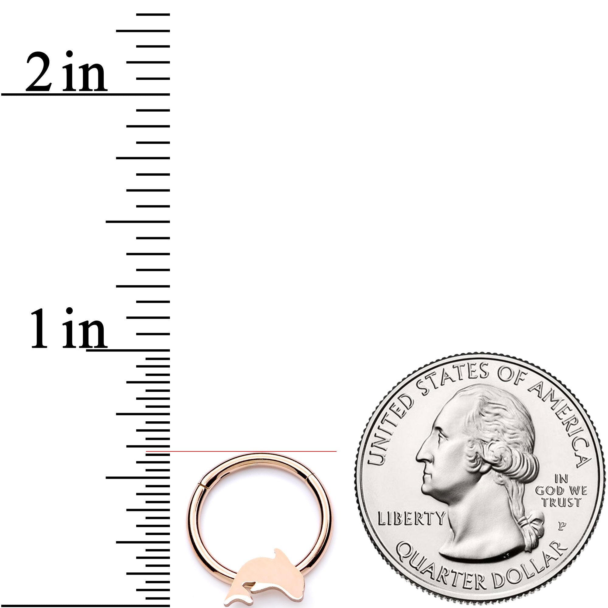 16 Gauge 3/8 Rose Gold Leaping Dolphin Hinged Segment Ring