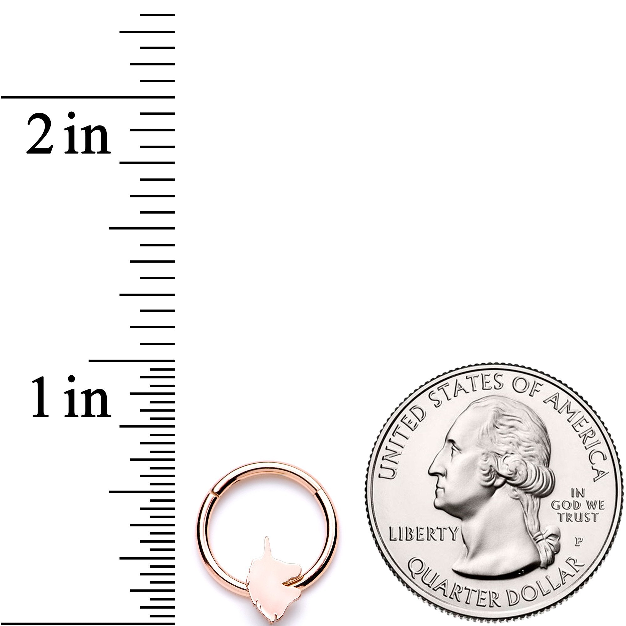 16 Gauge 3/8 Rose Gold Tone Unicorn Hinged Segment Ring