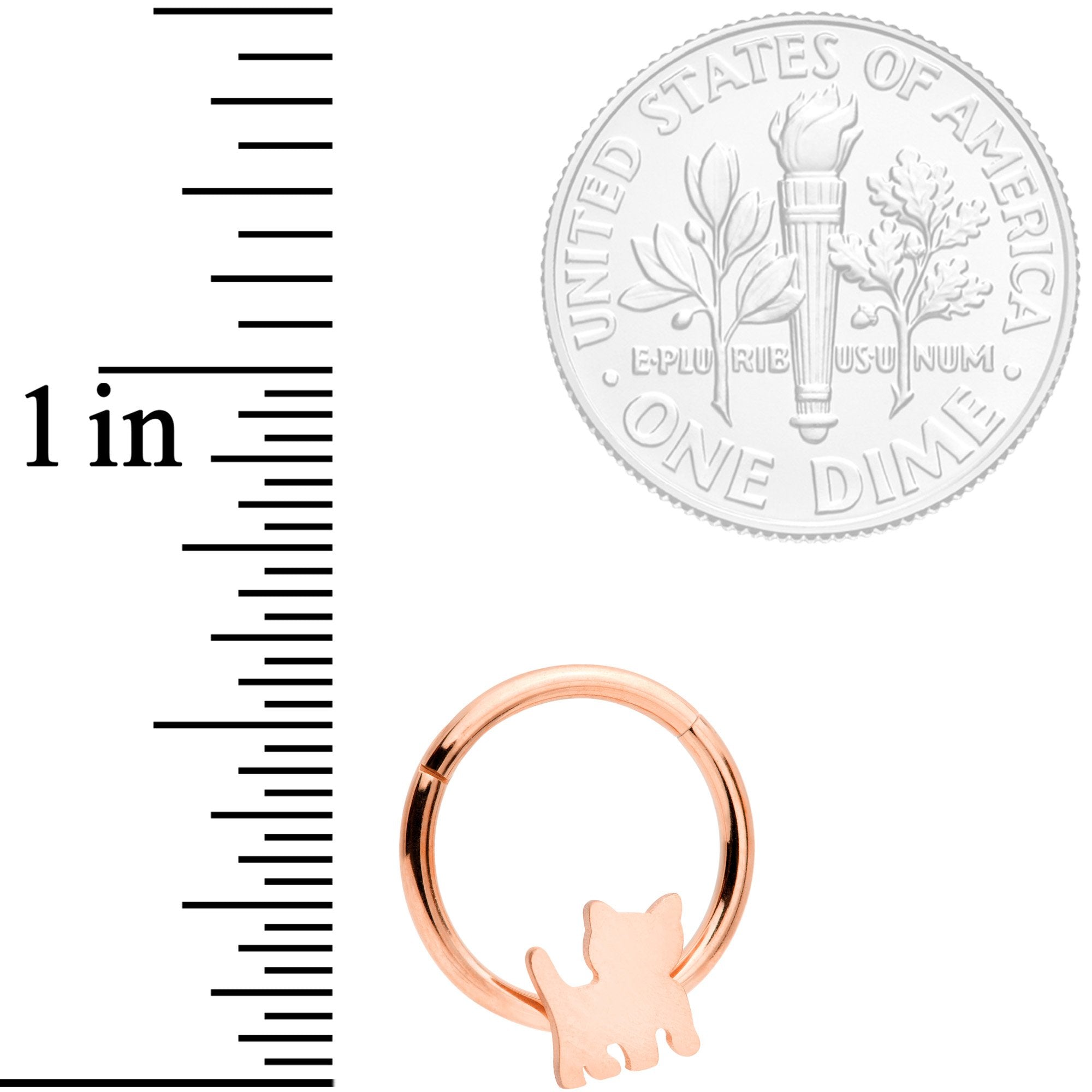 16 Gauge 3/8 Rose Gold Tone Kitty Cat Hinged Segment Ring