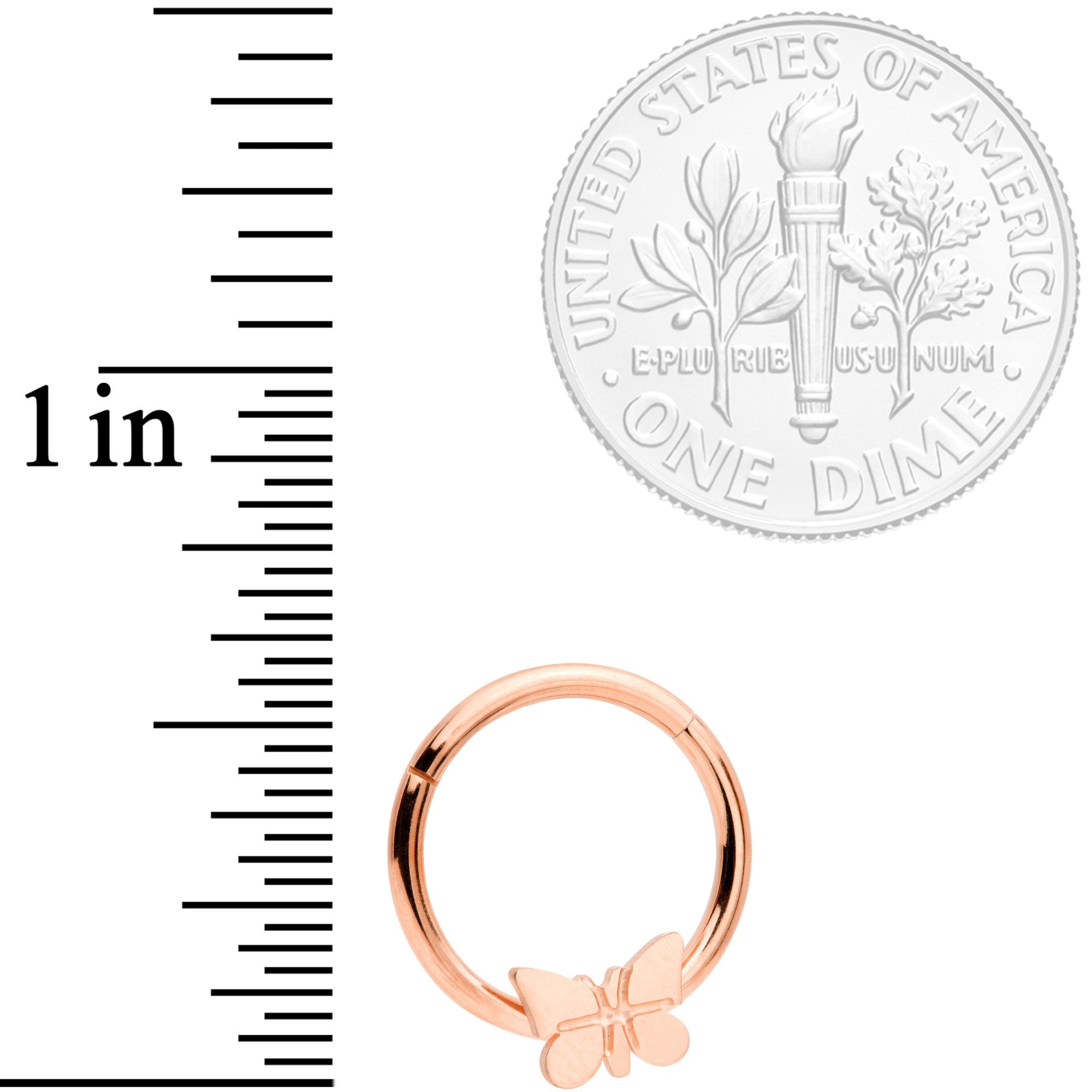 16 Gauge 3/8 Rose Gold Tone Spring Butterfly Hinged Segment Ring