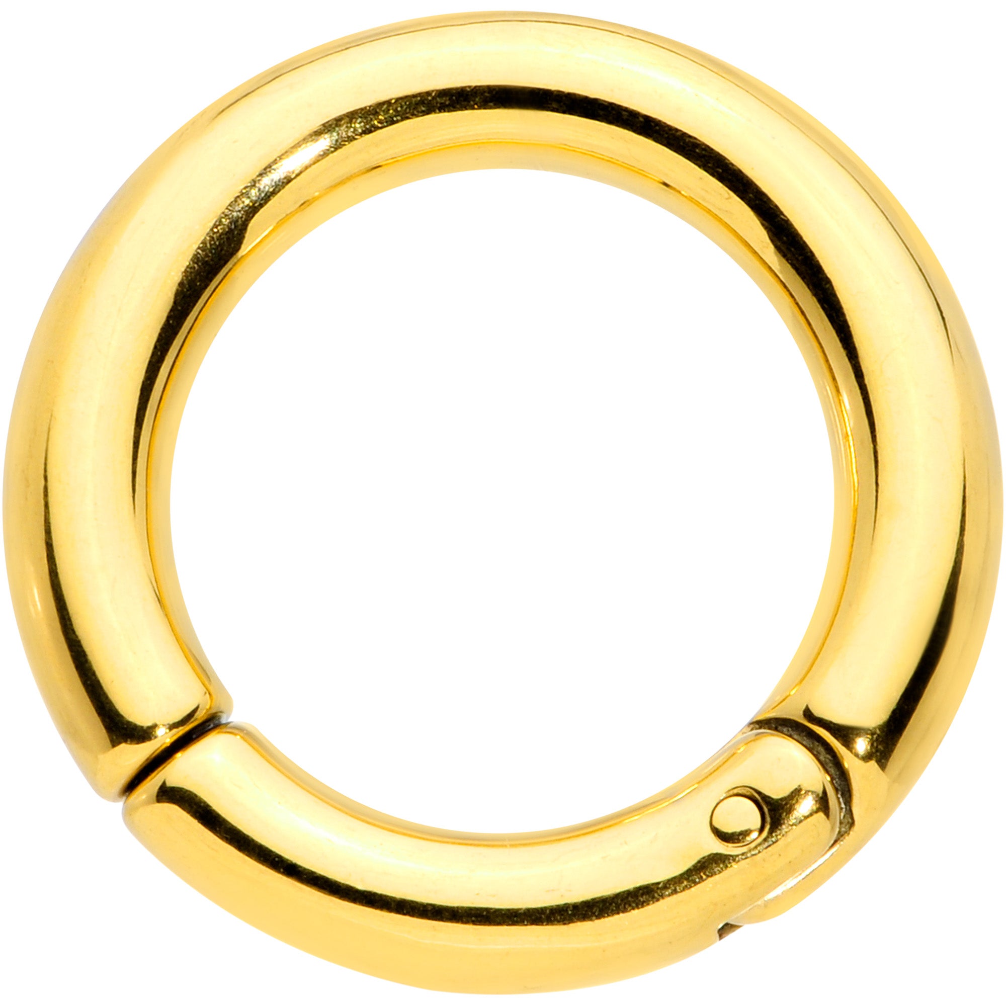 6 Gauge 5/8 Gold Tone PVD Steel Hinged Segment Ring