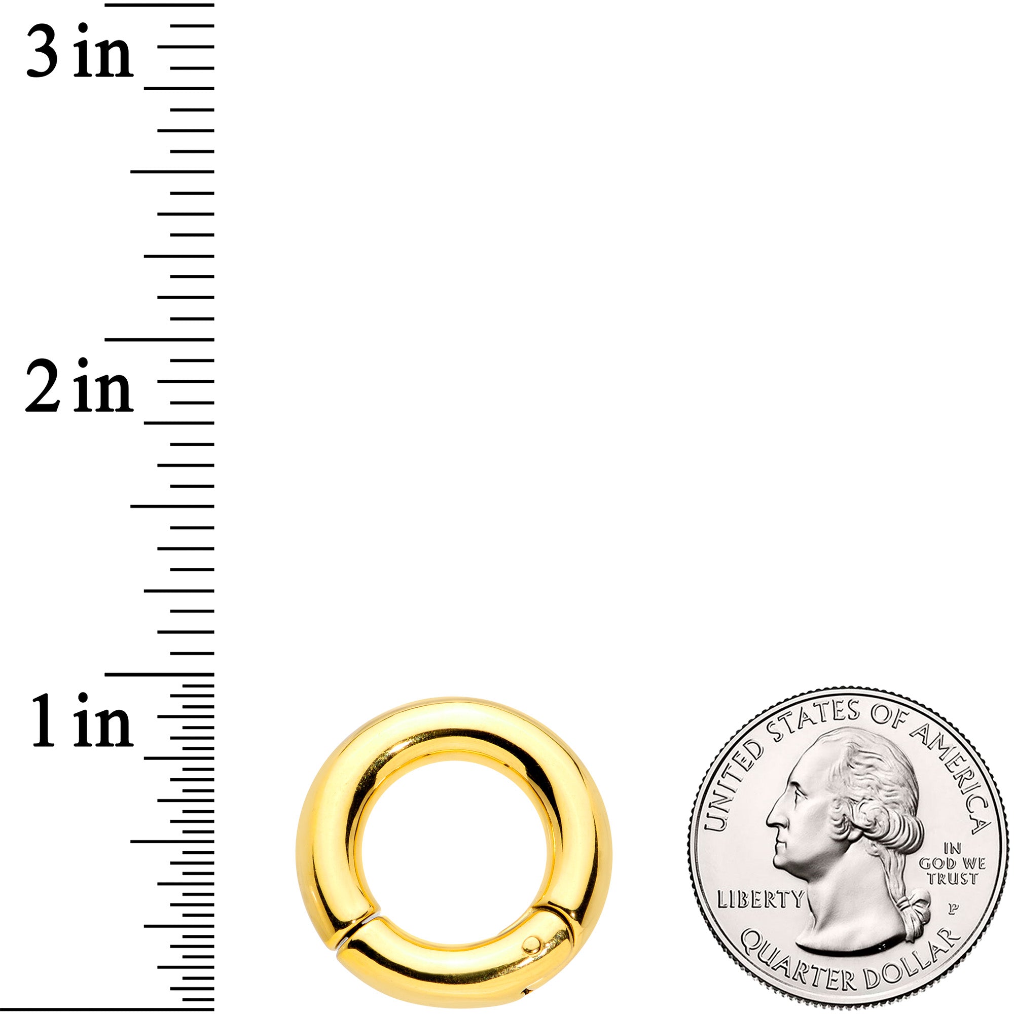 4 Gauge 9/16 Gold Tone PVD Steel Hinged Segment Ring