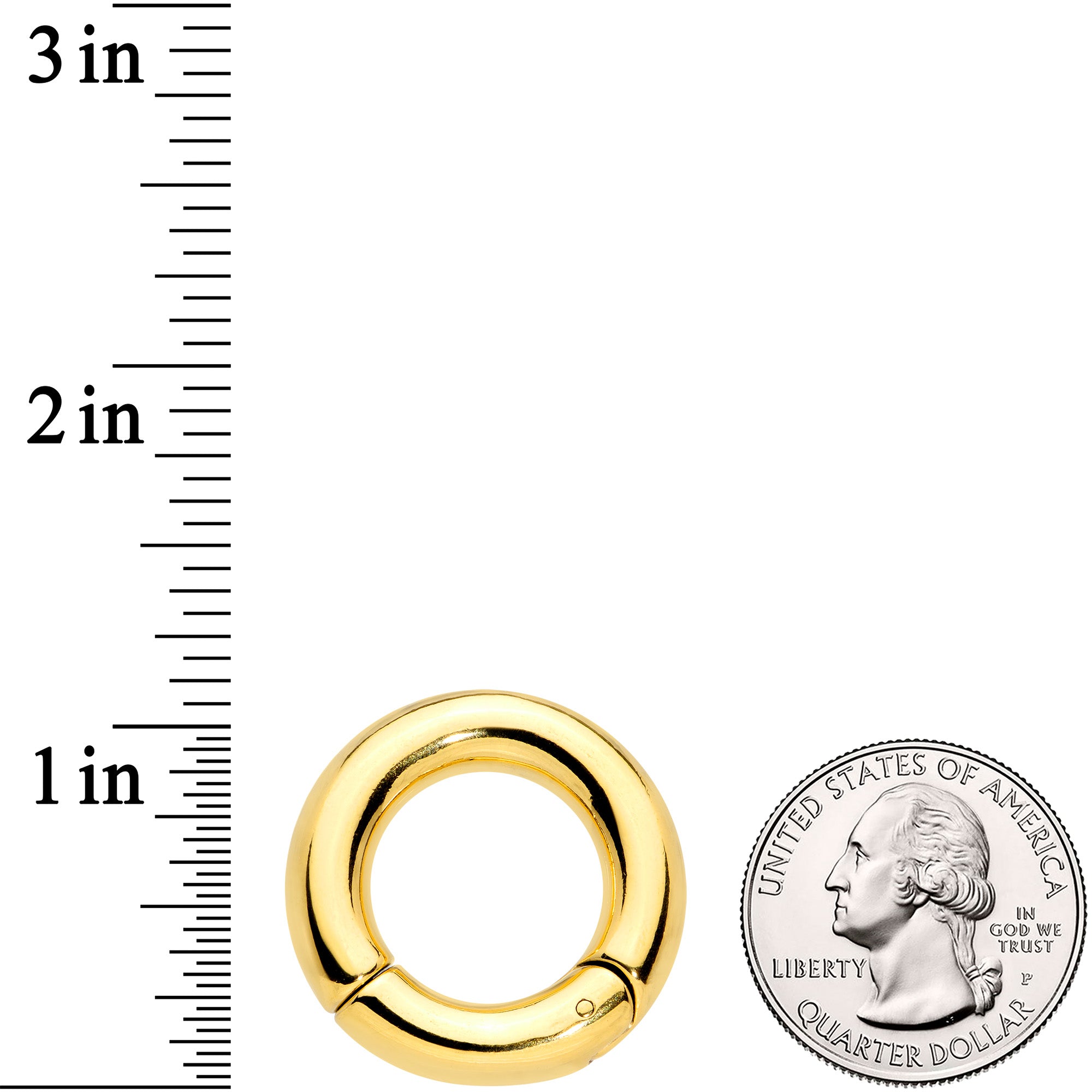 2 Gauge 5/8 Gold Tone PVD Steel Hinged Segment Ring