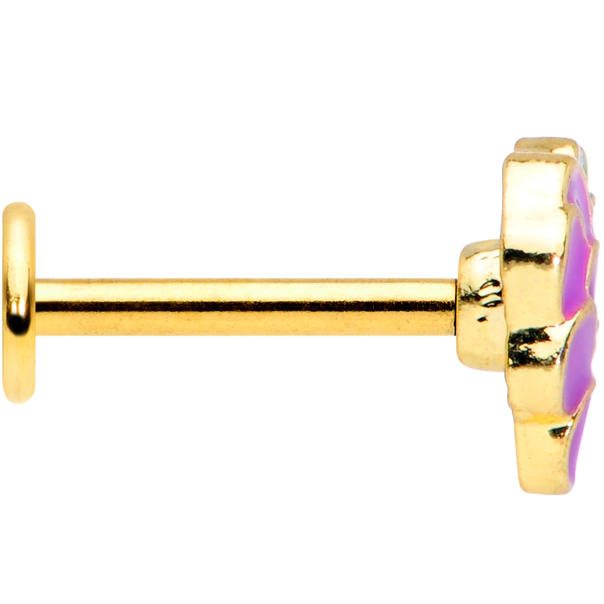 16 Gauge 5/16 Gold Tone Sweet Purple Grapes Labret Monroe Tragus