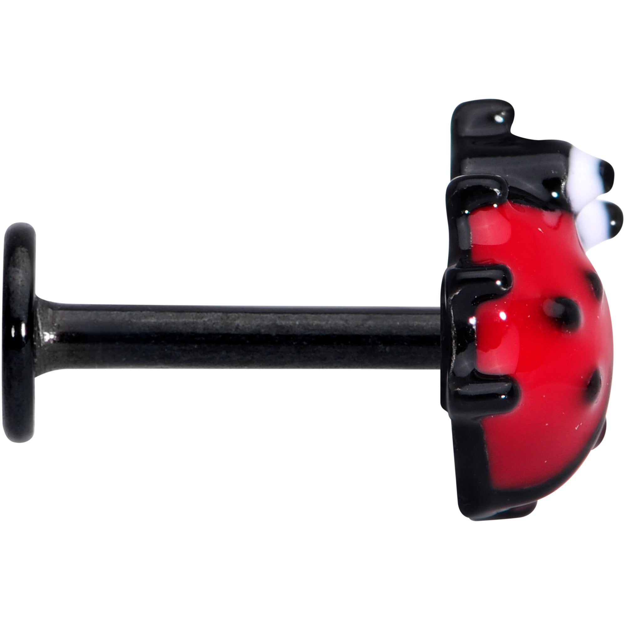 16 Gauge 5/16 Red Black Insect Ladybug Labret Monroe Tragus