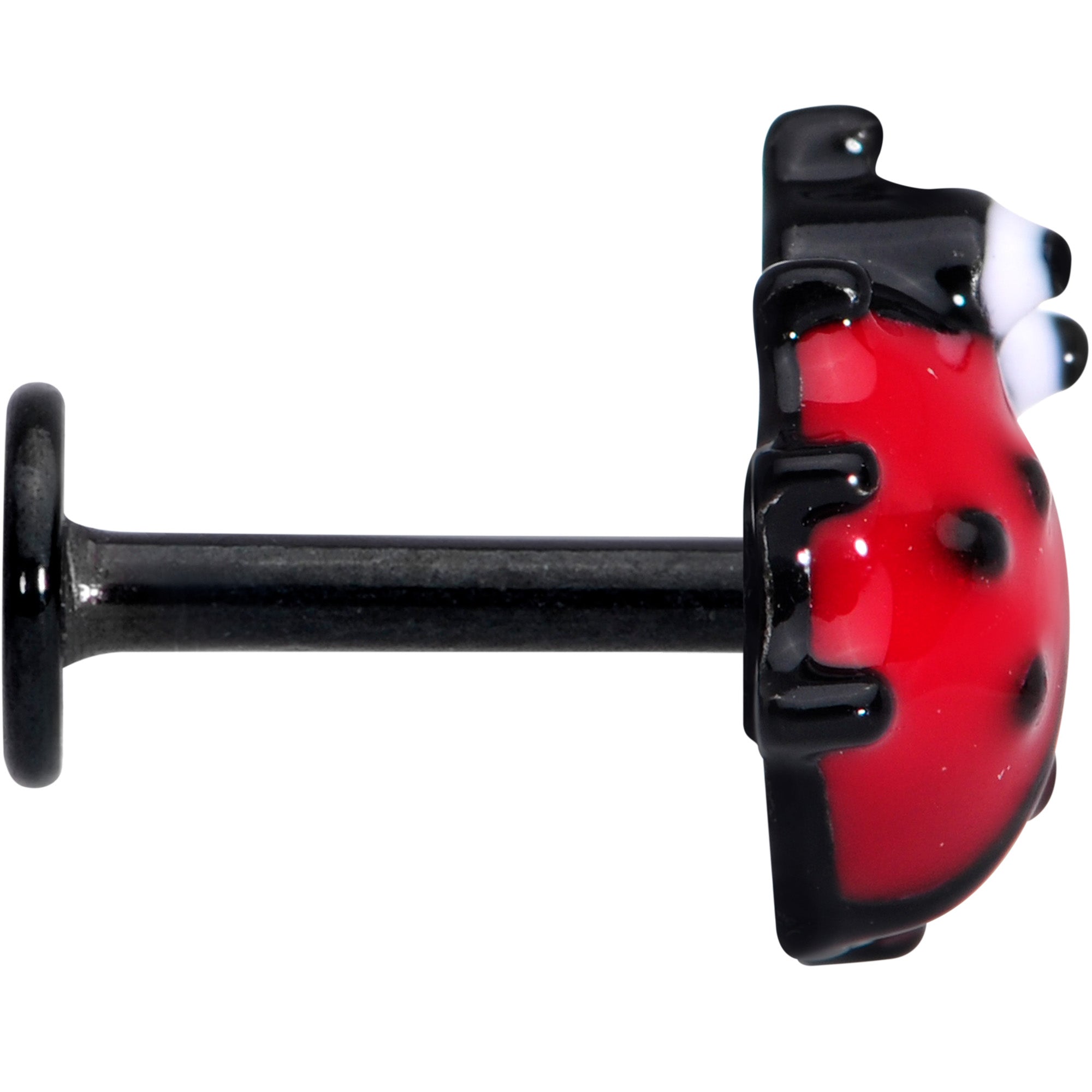 16 Gauge 1/4 Black Insect Ladybug Labret Monroe Tragus