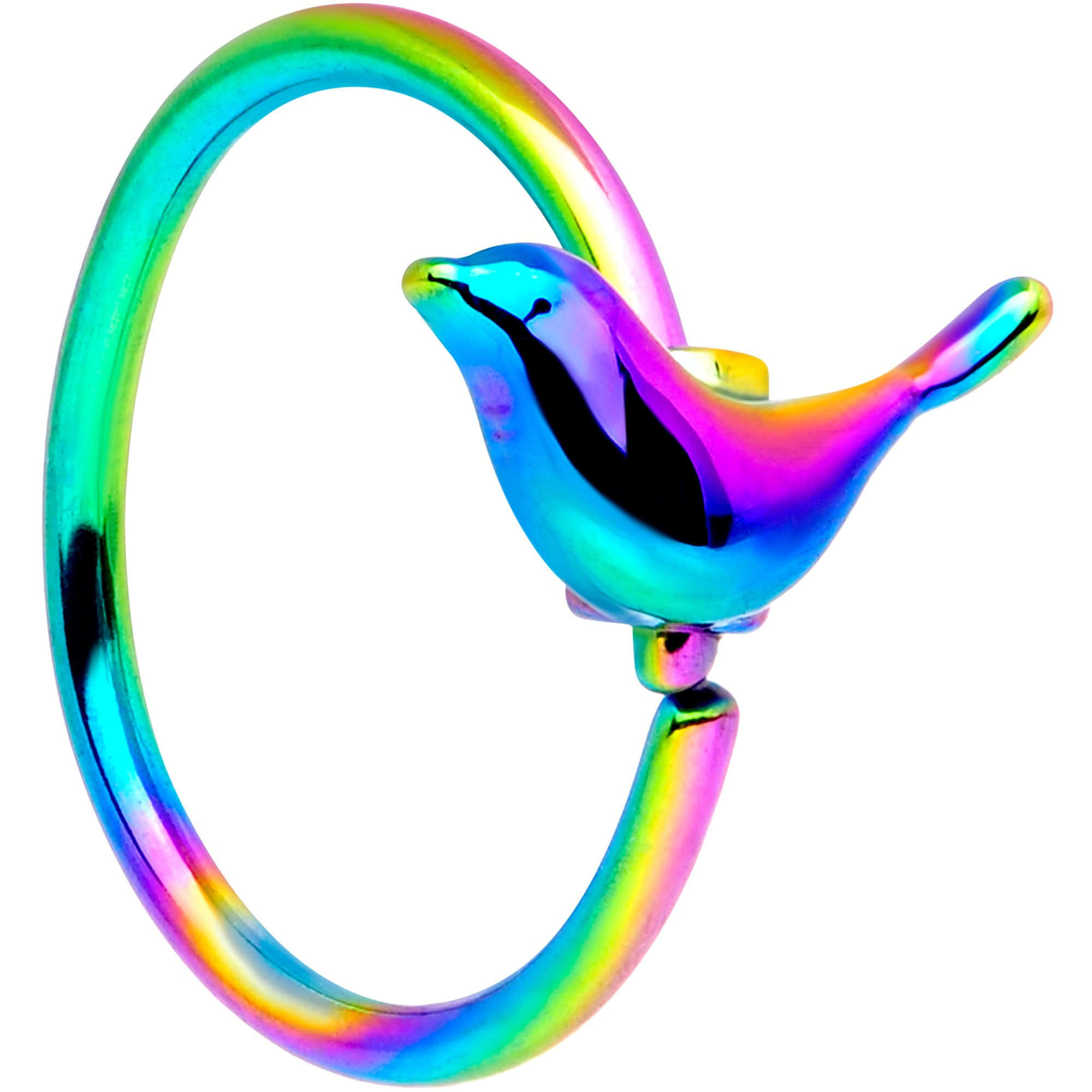 20 Gauge 5/16 Rainbow Bird Nose Hoop