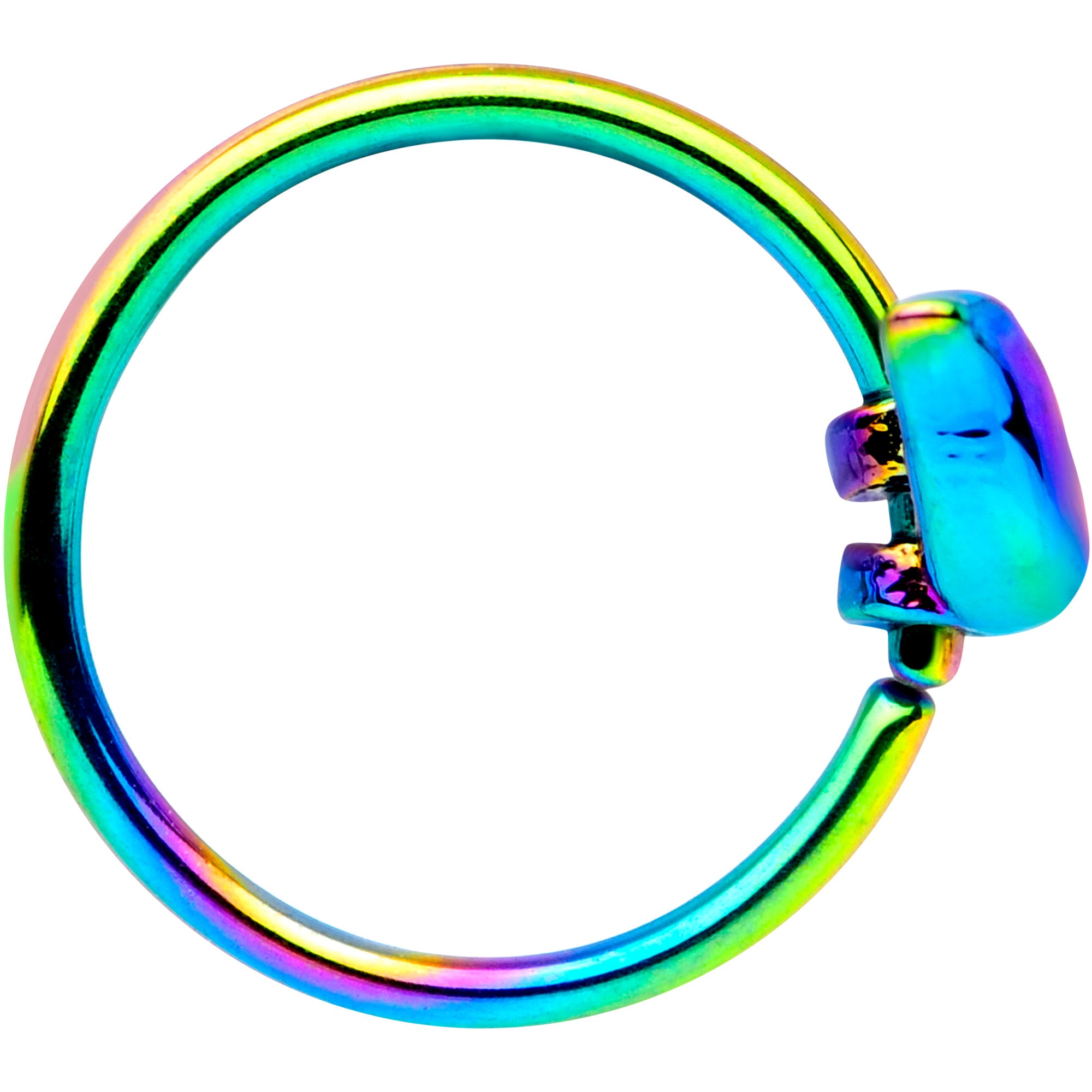 20 Gauge 5/16 Rainbow Bird Nose Hoop