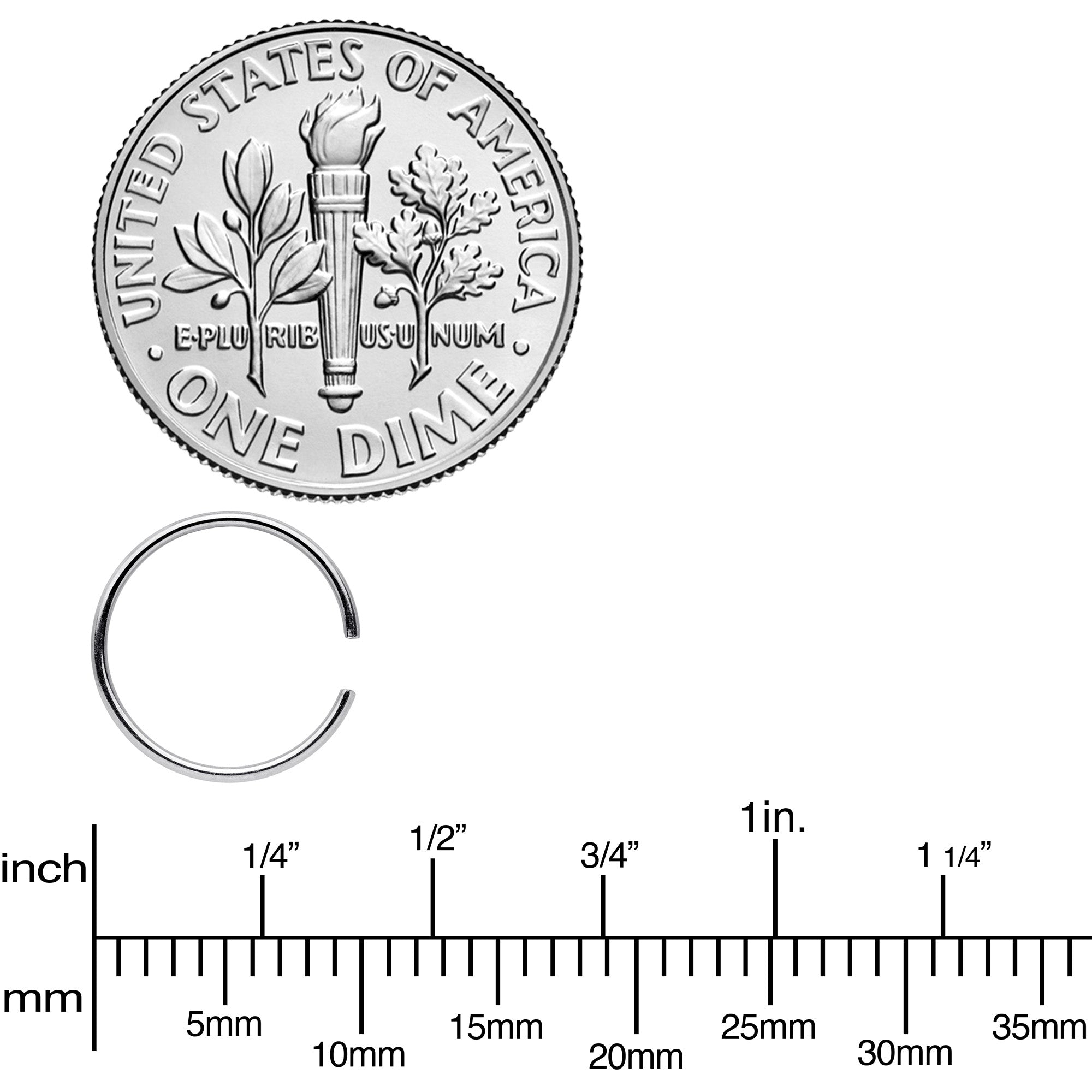 22 Gauge 5/16 Seamless Circular Ring Set of 12