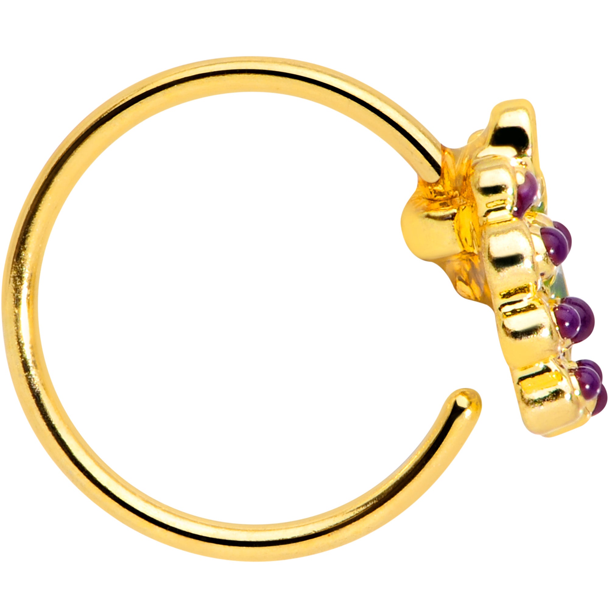 20 Gauge 5/16 Gold Tone Yummy Grapes Nose Hoop