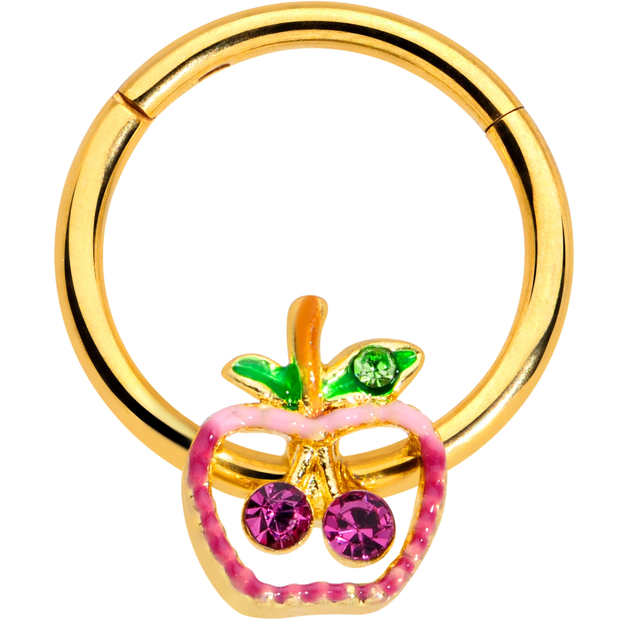 16 Gauge 3/8 Pink Purple Gem Gold Hue Apple Cherry Hinged Segment Ring