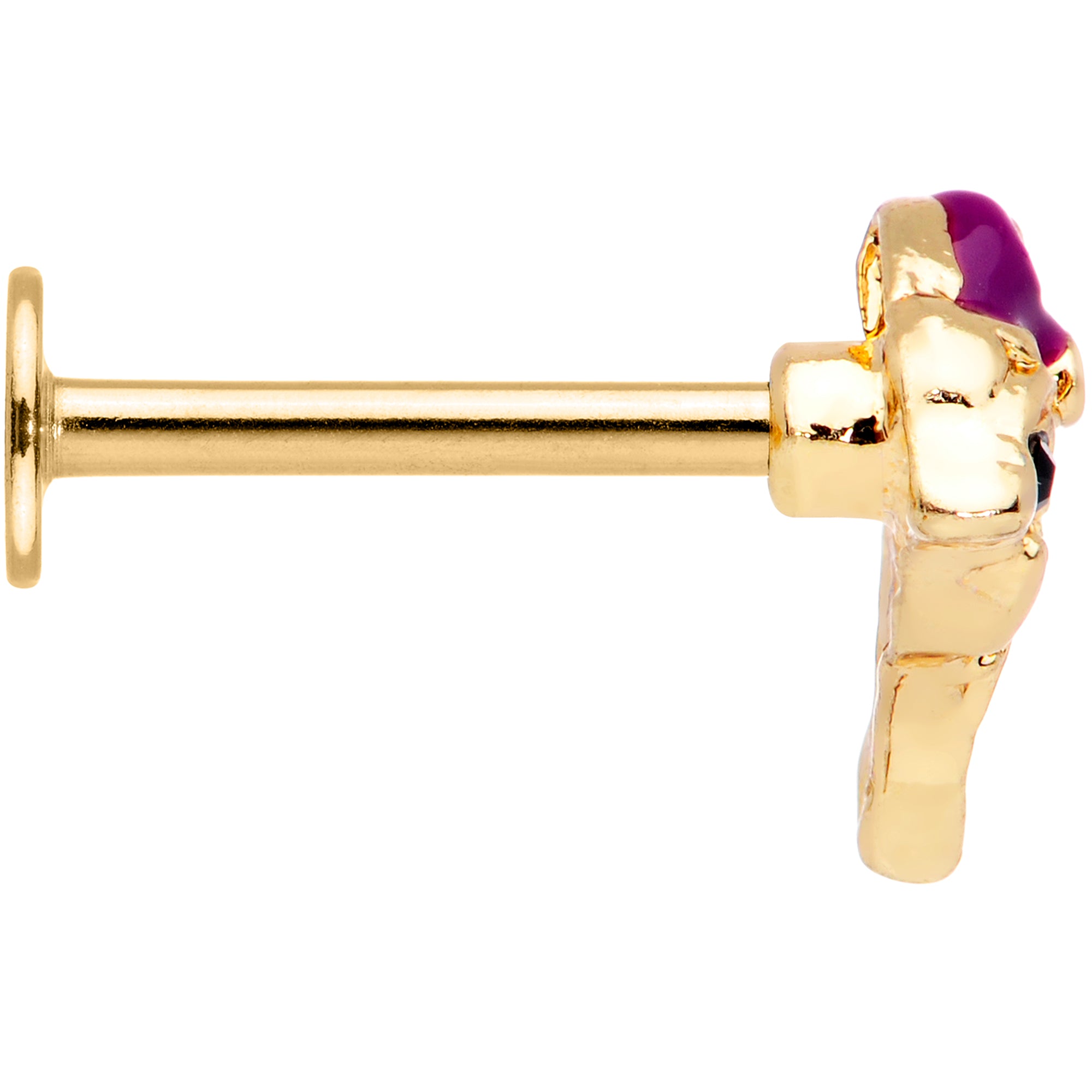 16 Gauge 5/16 Purple Gem Gold Tone Dainty Dolphin Labret Monroe Tragus