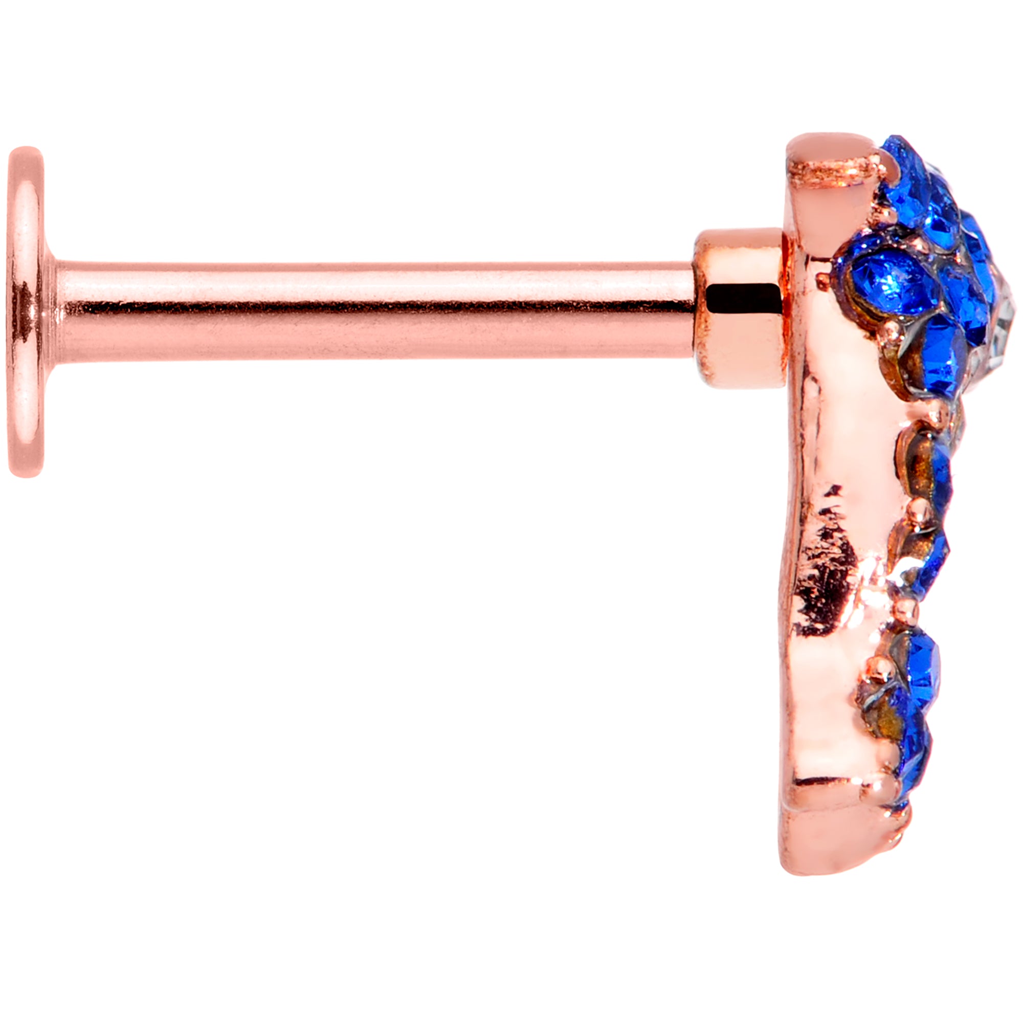 16 Gauge 5/16 Blue Gem Rose Gold Tone Dolphin Labret Monroe Tragus