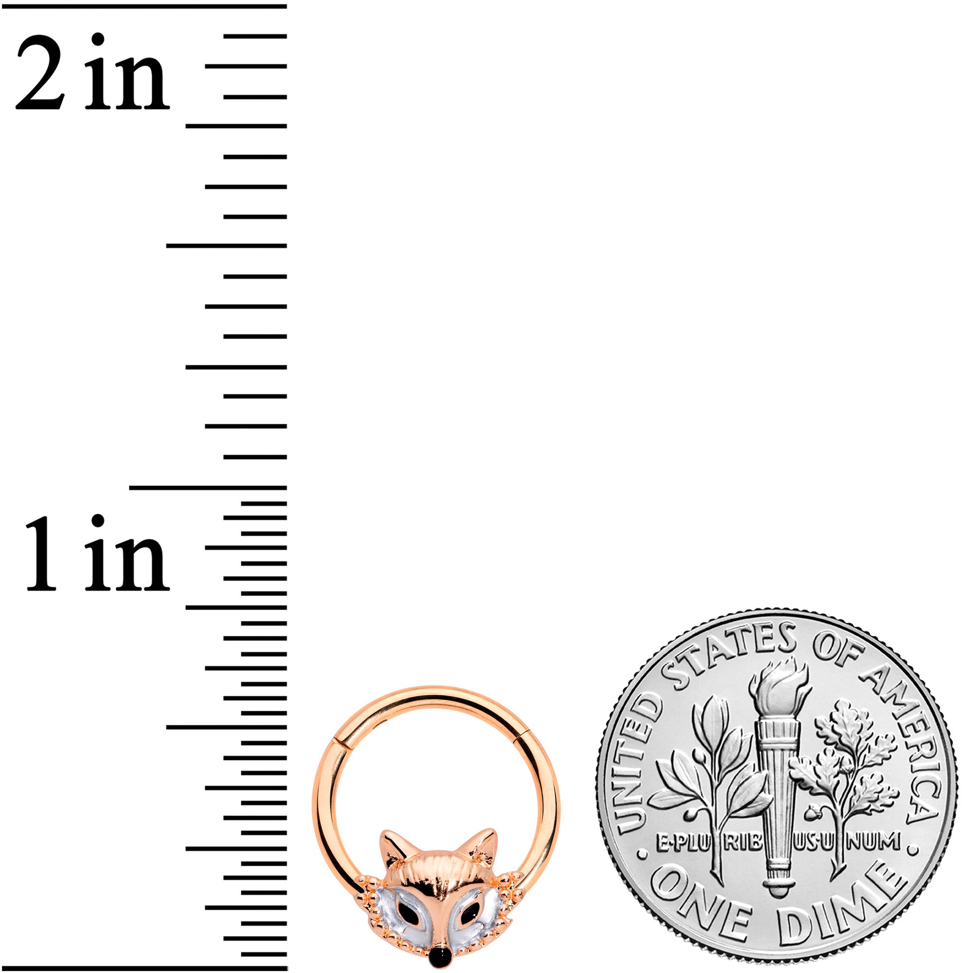 16 Gauge 3/8 Rose Gold Tone Fashion Fox Hinged Segment Ring