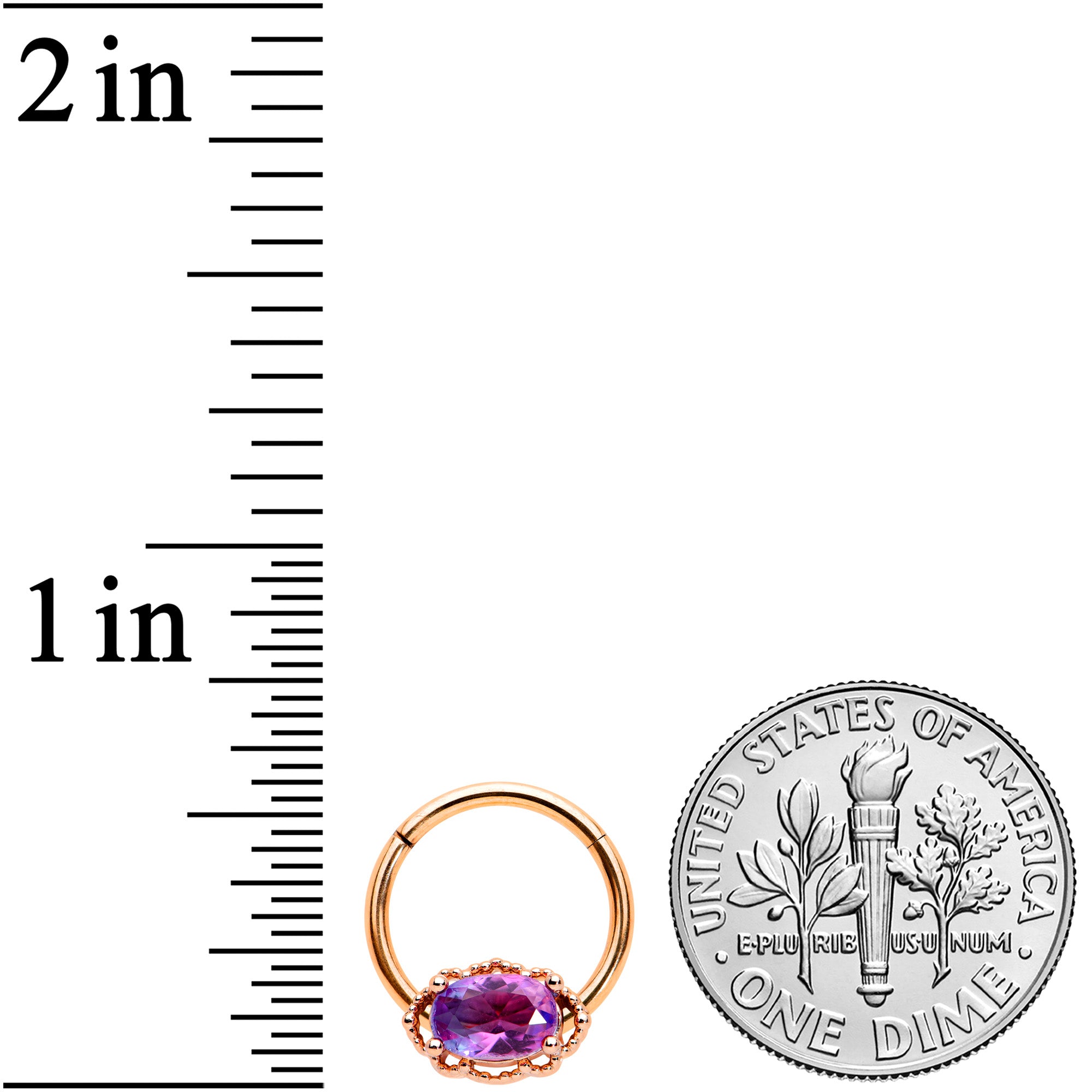 16 Gauge 3/8 Purple Tourmaline Rose Gold Tone Hinged Segment Ring