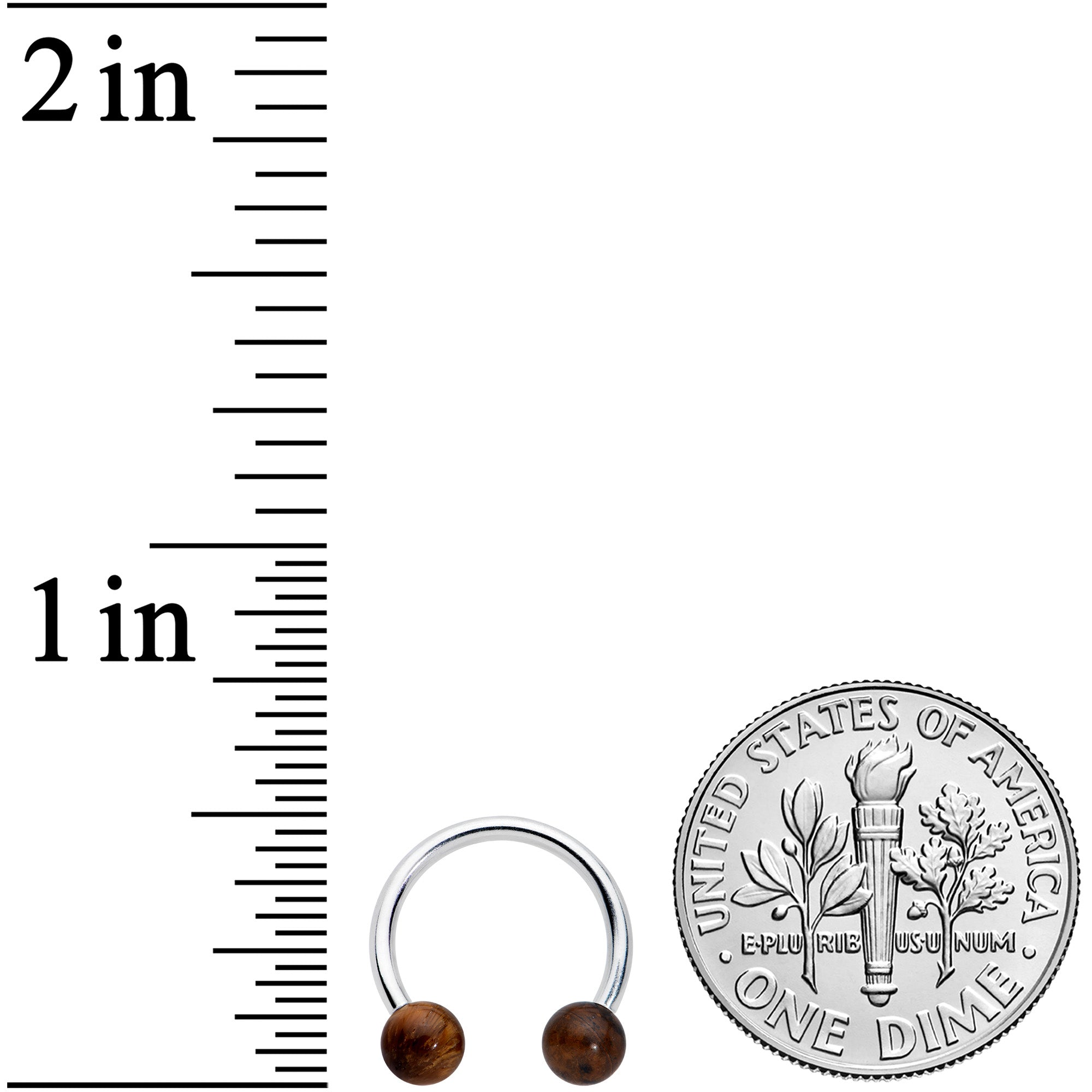 16 Gauge 3/8 Brown Stone Ball Ends Internally Threaded Horseshoe