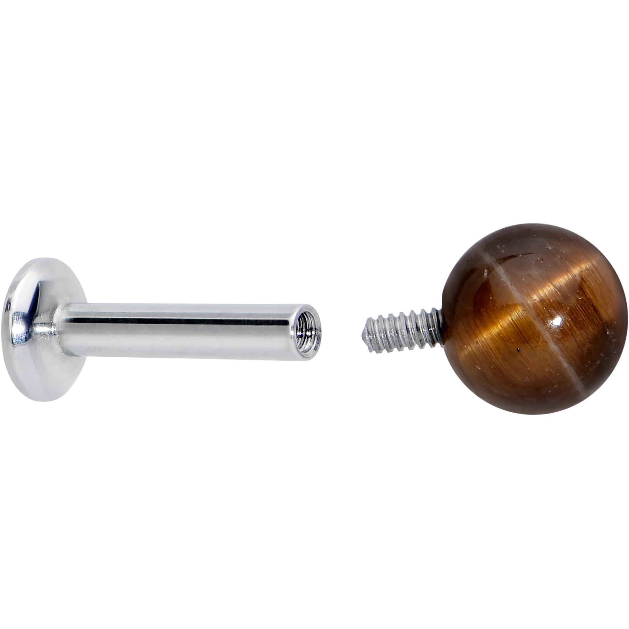 16 Gauge 1/4 Elegant Brown Tiger Eye Internal Threaded Labret Tragus