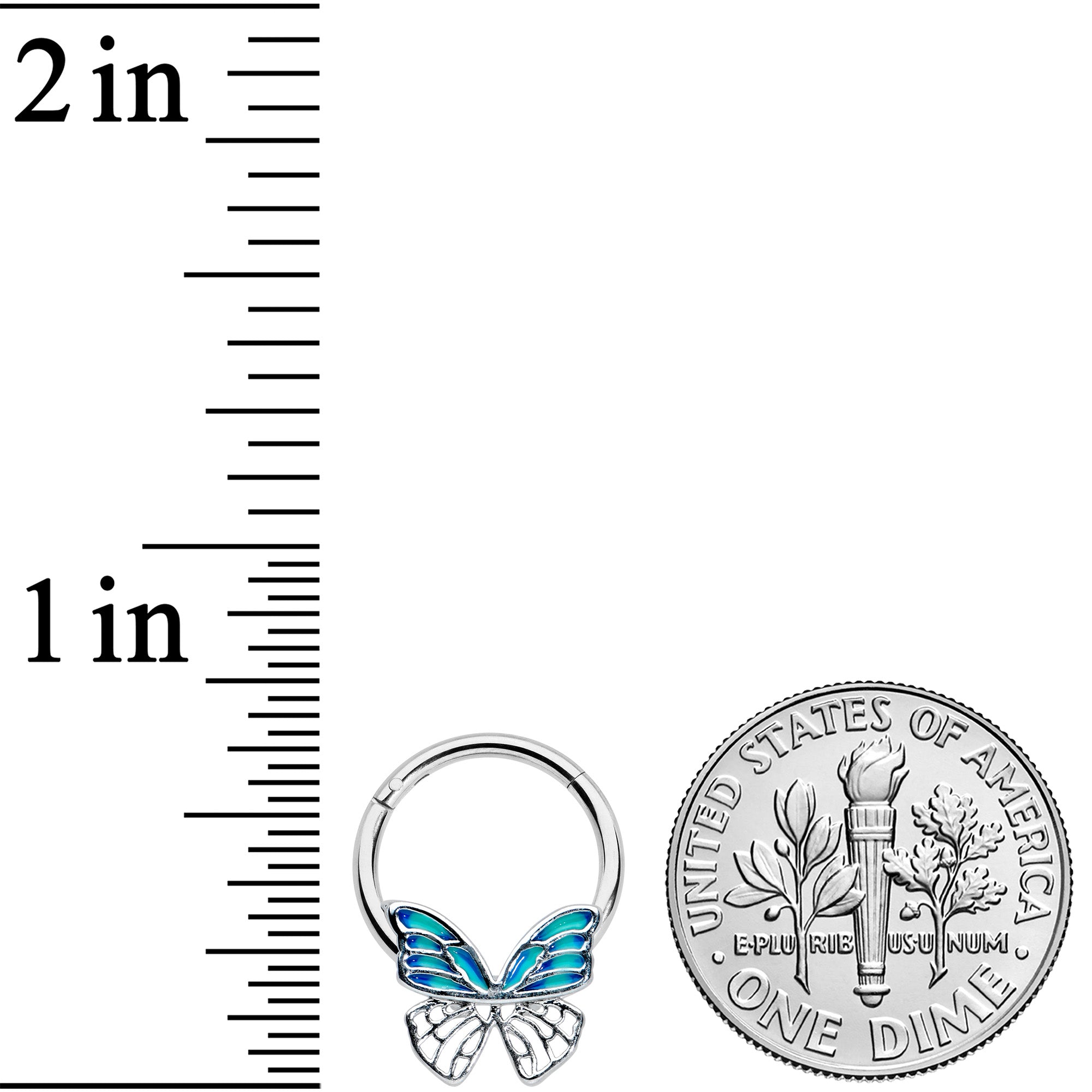 16 Gauge 3/8 Simple Blue Butterfly Wings Hinged Segment Ring