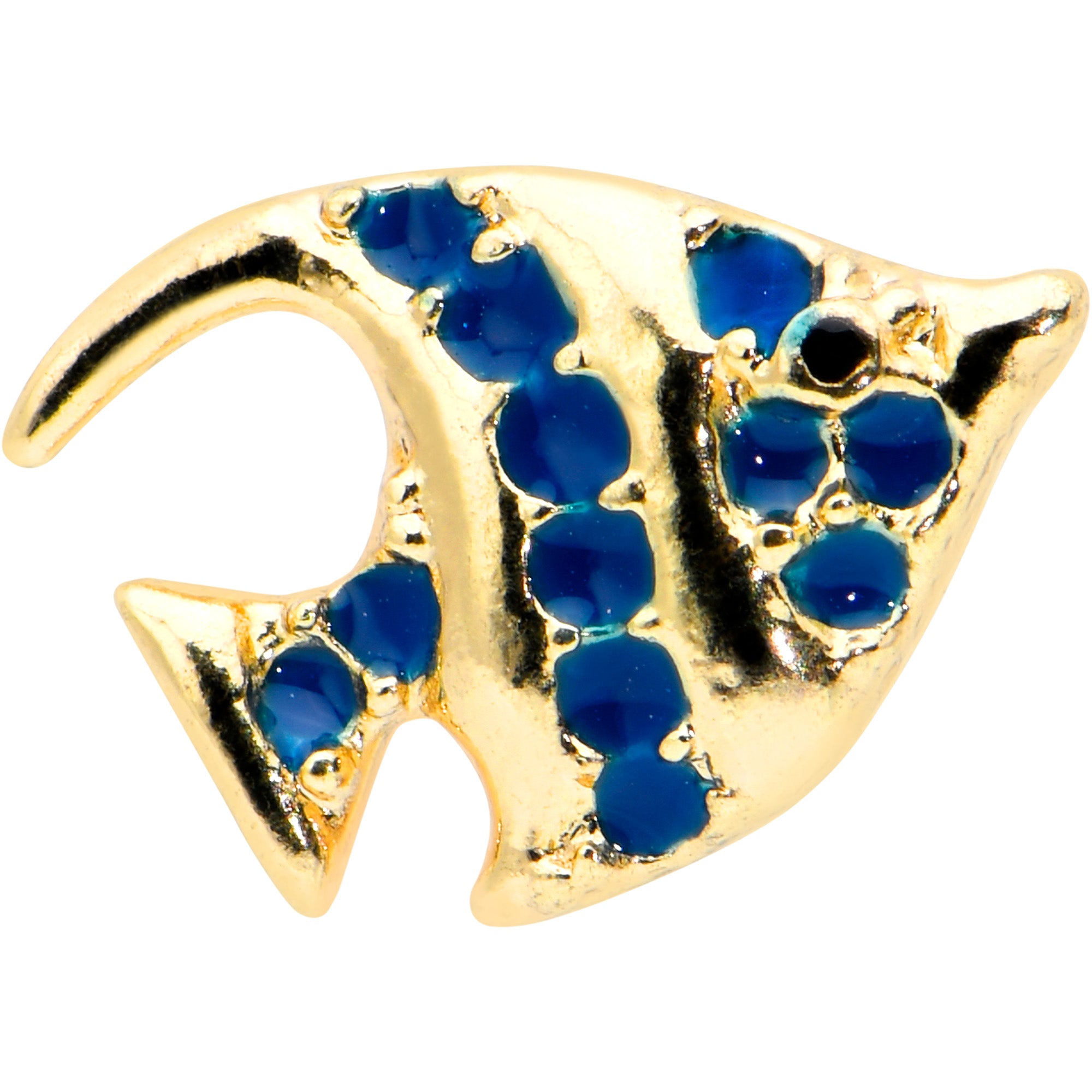 16 Gauge 1/4 Gold Tone Blue Adorable Angelfish Cartilage Tragus