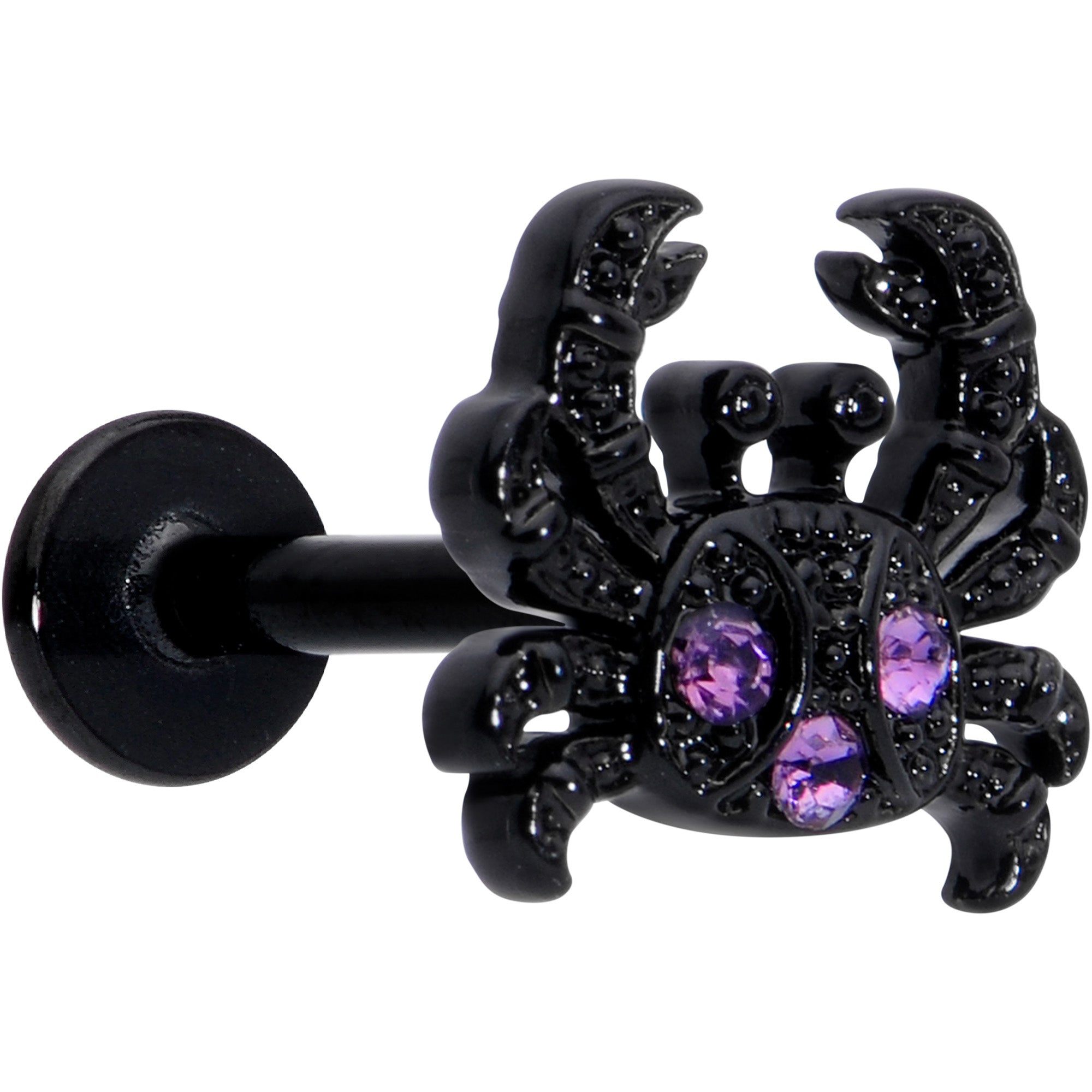 16 Gauge 5/16 Purple Gem Black Chic Crab Labret Monroe Tragus