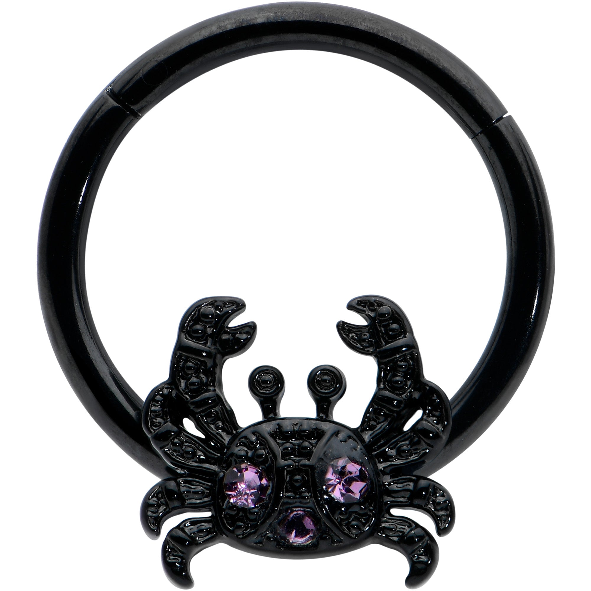 16 Gauge 3/8 Purple Gem Black Chic Crab Hinged Segment Ring