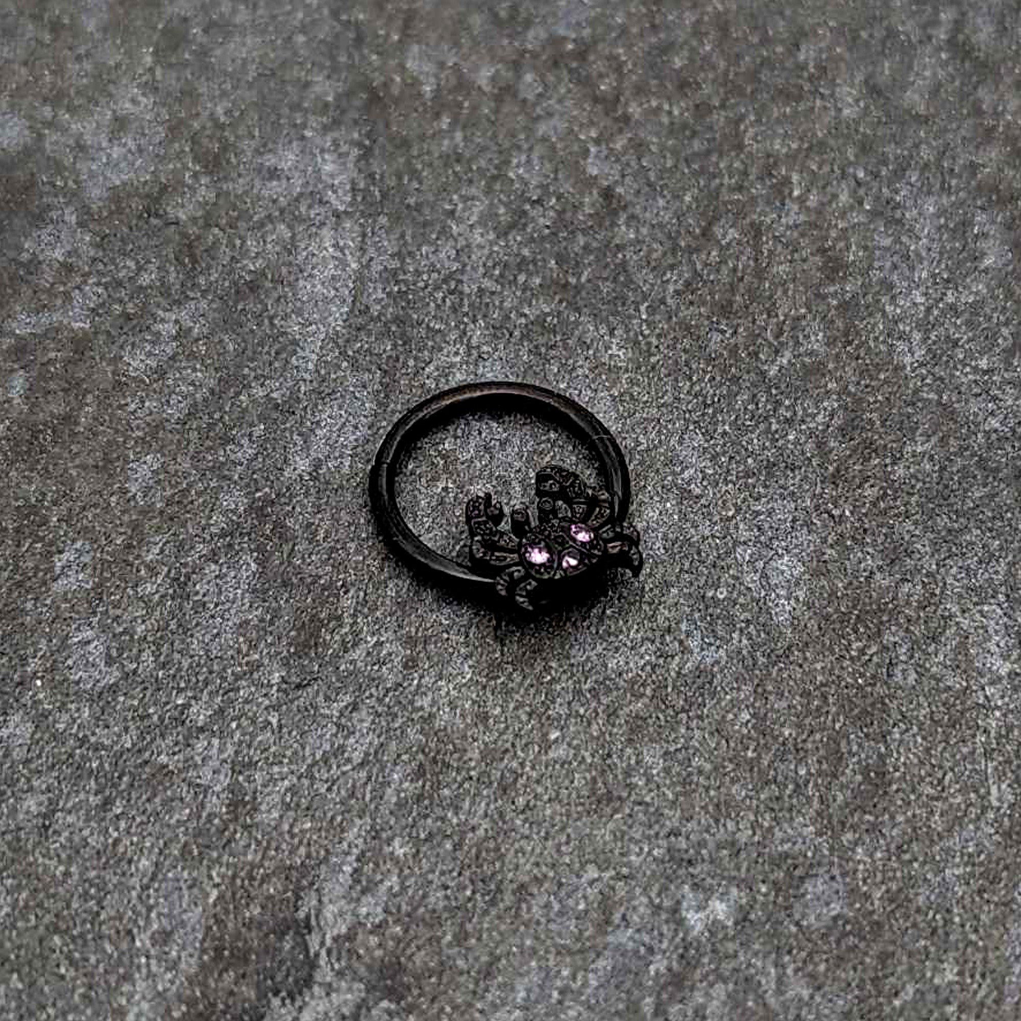 16 Gauge 3/8 Purple Gem Black Chic Crab Hinged Segment Ring