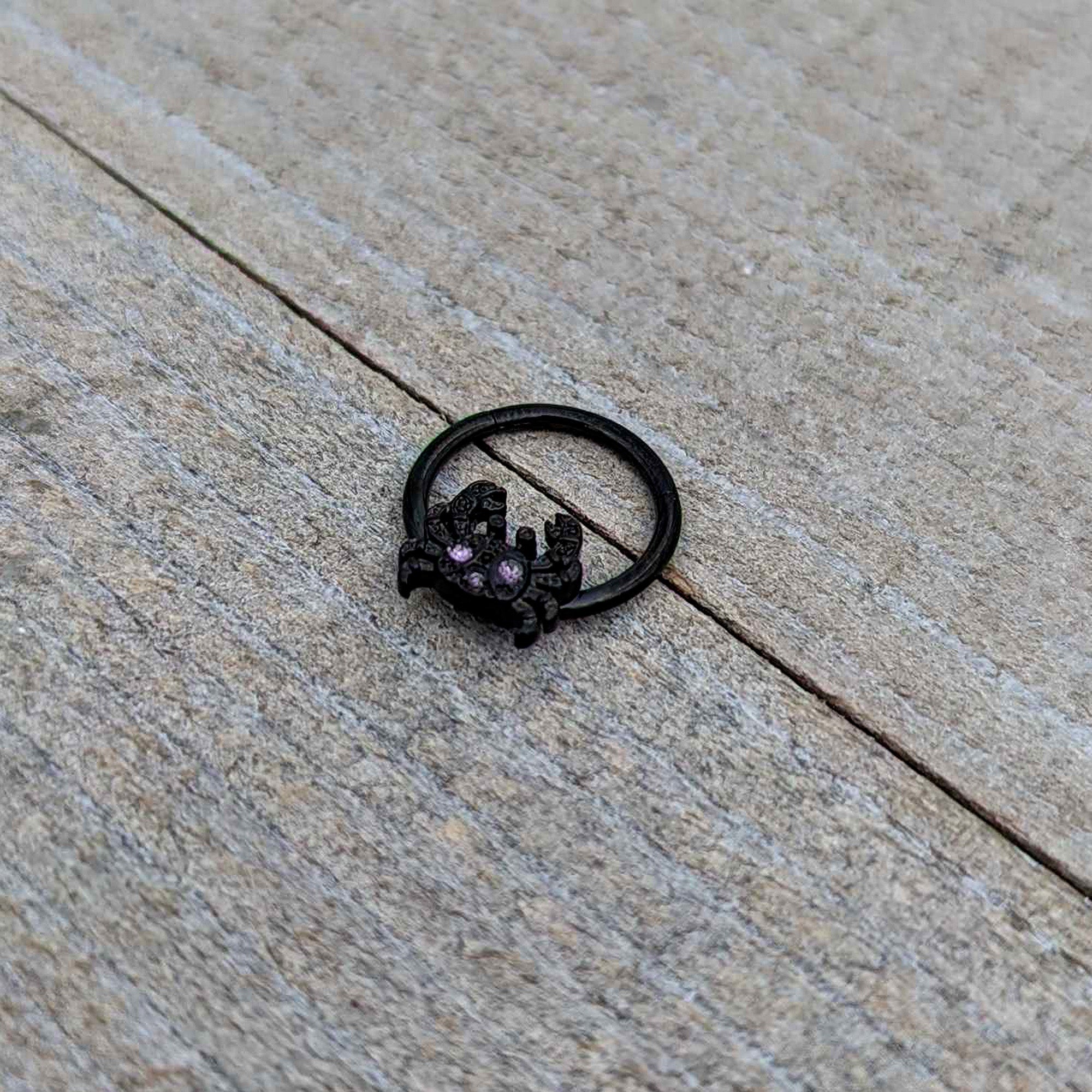 16 Gauge 3/8 Purple Gem Black Chic Crab Hinged Segment Ring