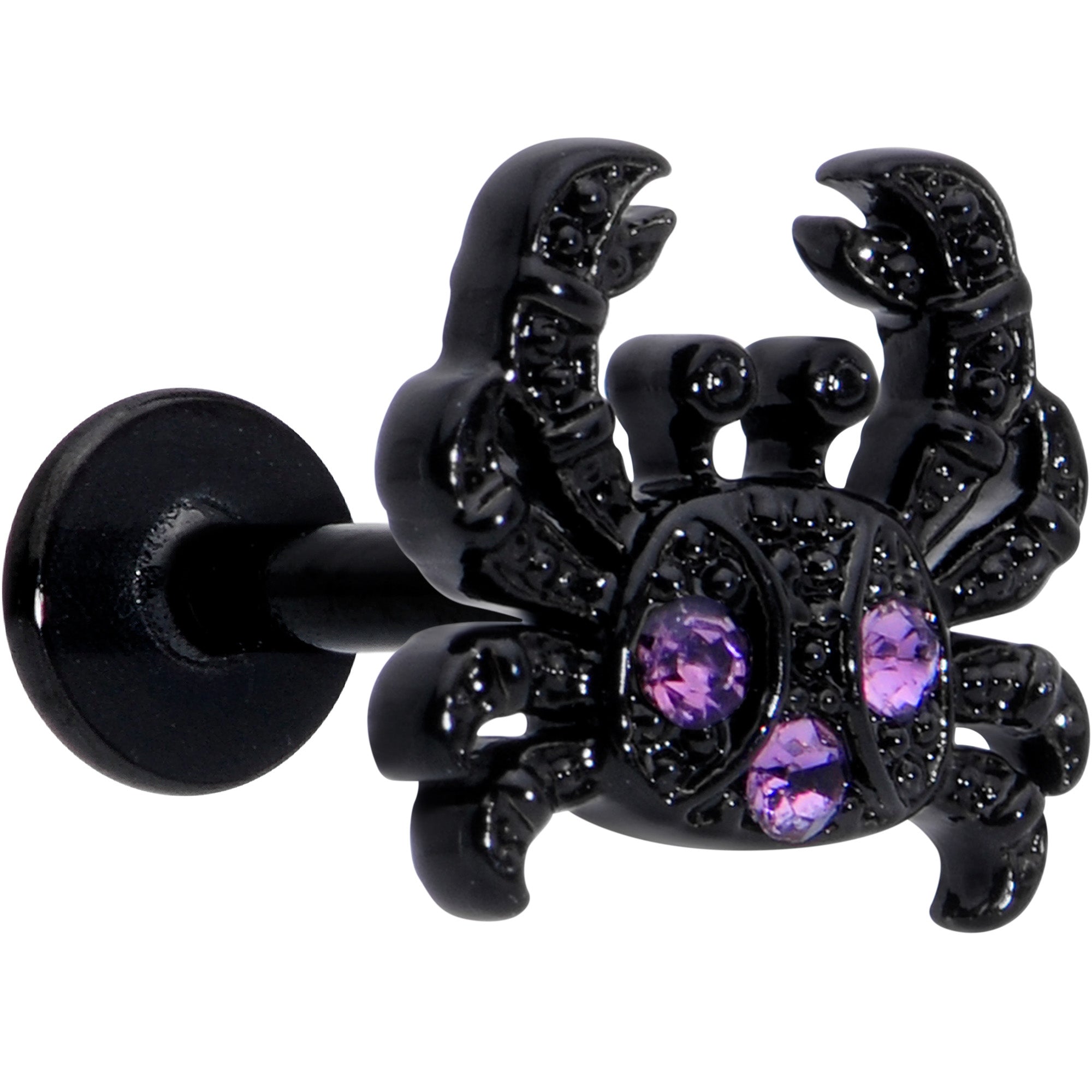 16 Gauge 1/4 Purple Gem Black Chic Crab Labret