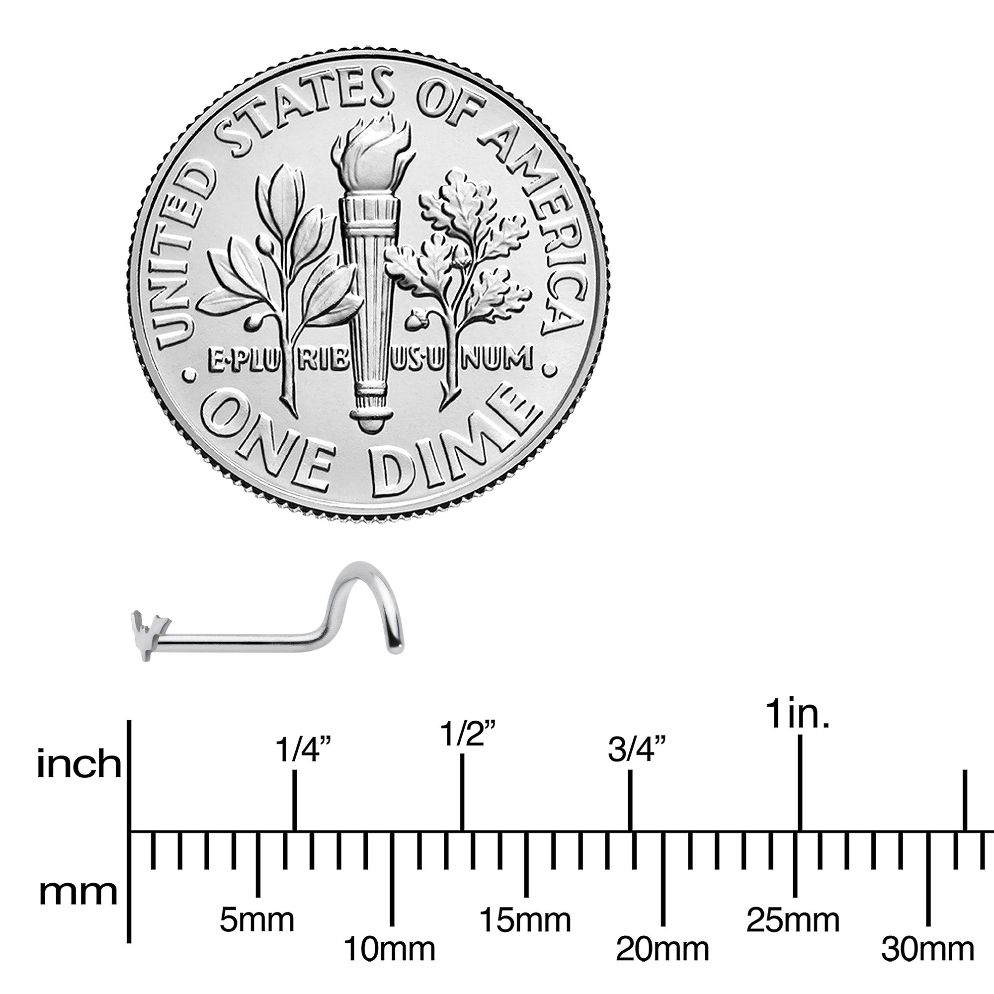 20 Gauge 1/4 Itty Bitty Bat Left Side Nose Screw