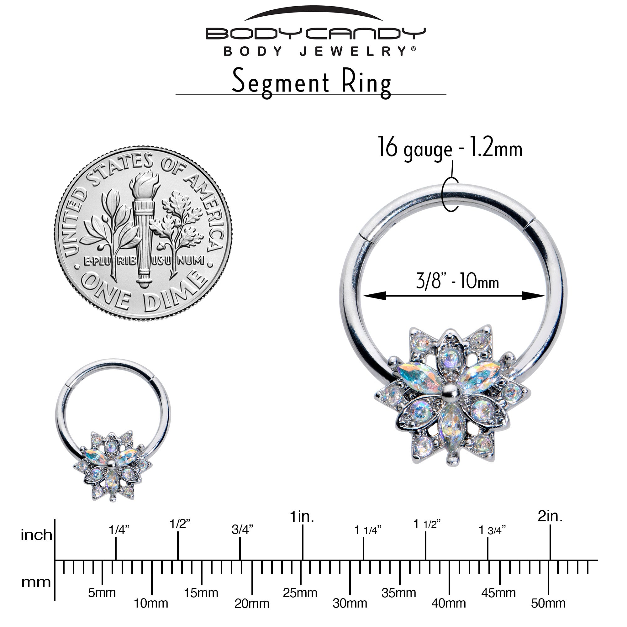 16 Gauge 3/8 Aurora CZ Gem Snowflake Style Hinged Segment Ring