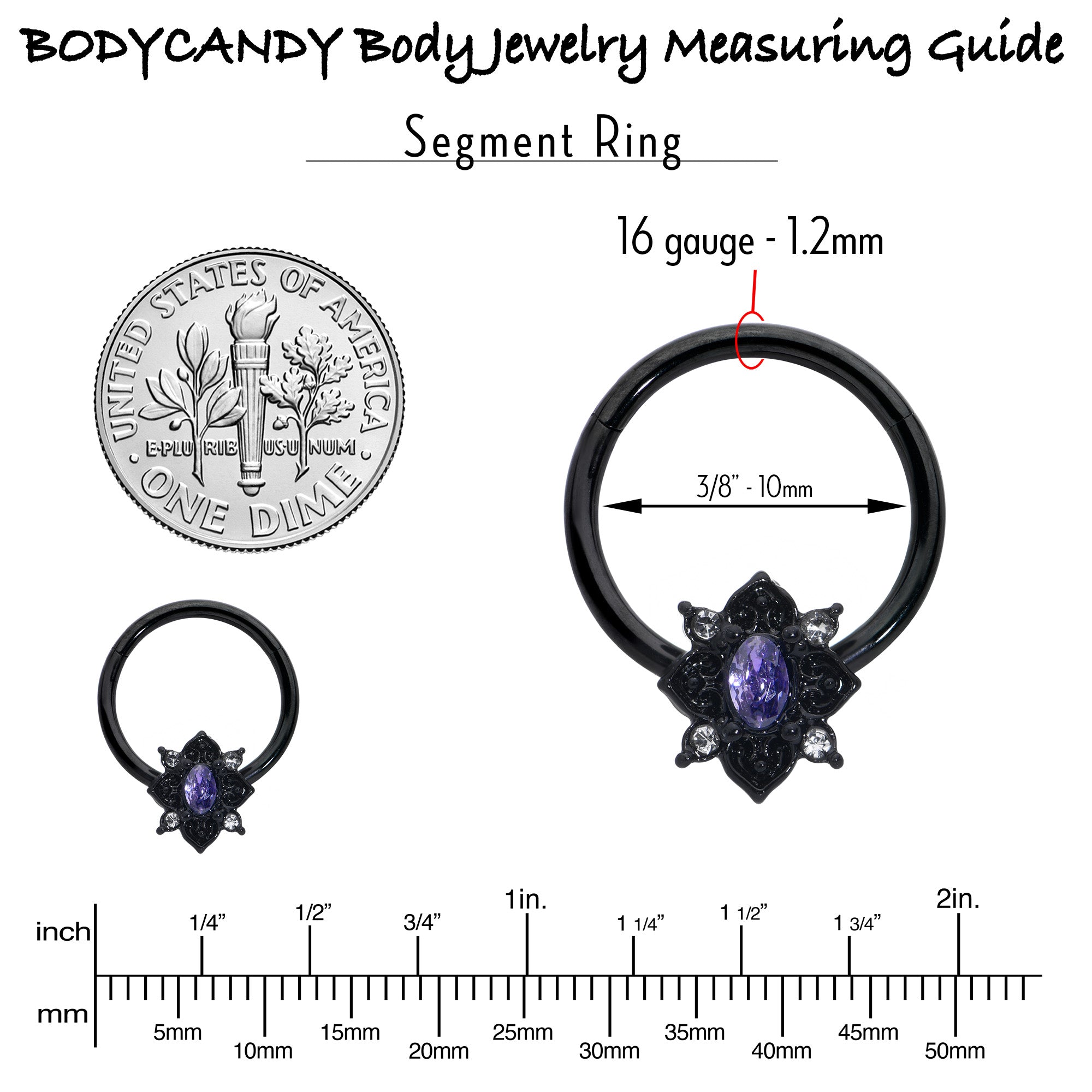 16 Gauge 3/8 Purple Gem Black Scrolling Hearts Hinged Segment Ring