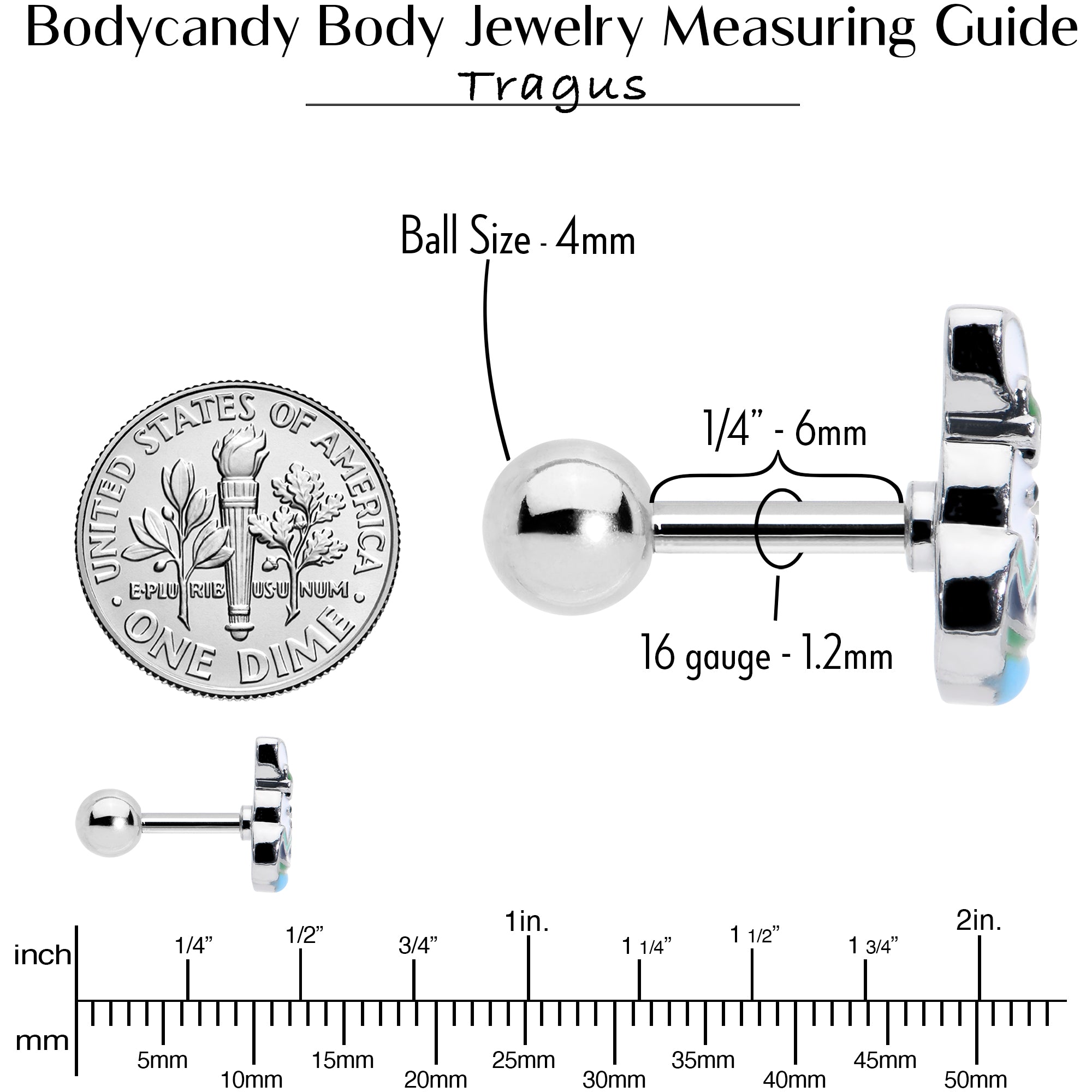 16 Gauge 1/4 Easter Egg Bunny Cartilage Tragus Earring